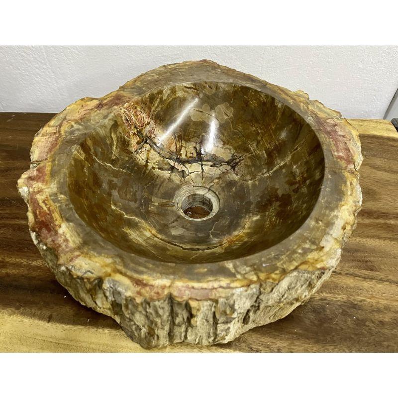 Petrified Wood Sink Brown/ Beige/ Yellow & Red Tones Polished Top Quality For Sale 1