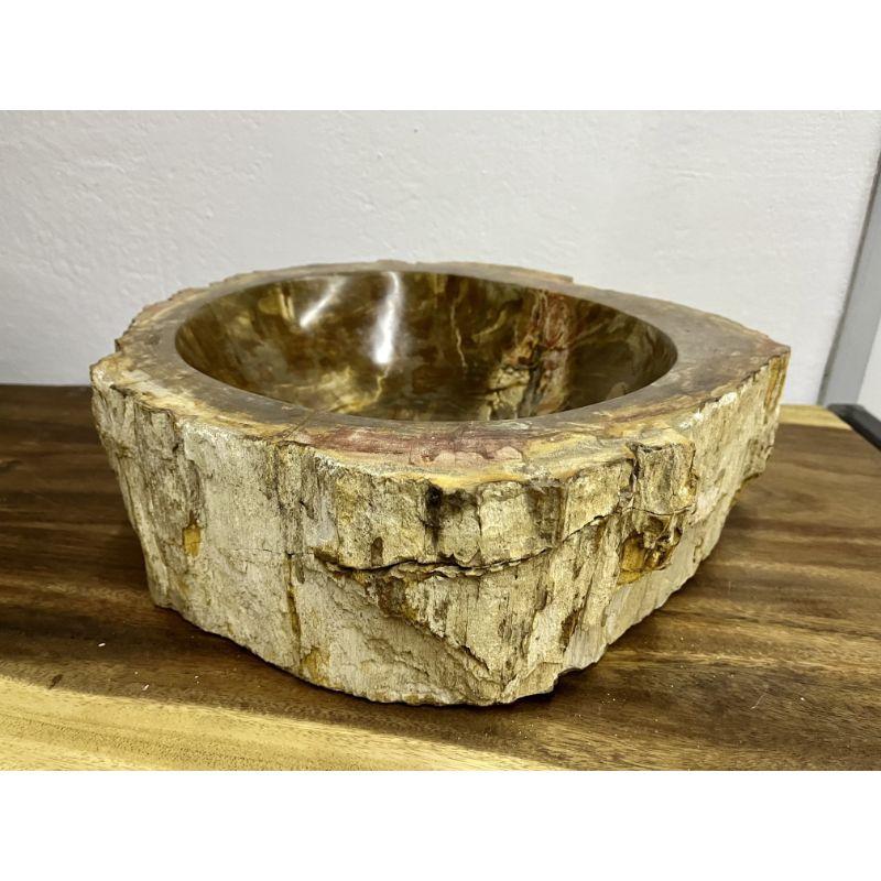 Petrified Wood Sink Brown/ Beige/ Yellow & Red Tones Polished Top Quality For Sale 3