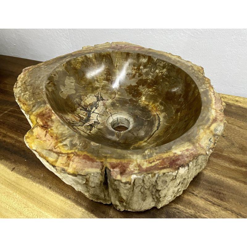 Petrified Wood Sink Brown/ Beige/ Yellow & Red Tones Polished Top Quality For Sale 4