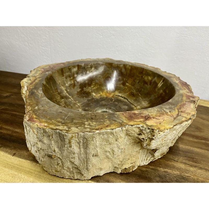 Petrified Wood Sink Brown/ Beige/ Yellow & Red Tones Polished Top Quality For Sale 5