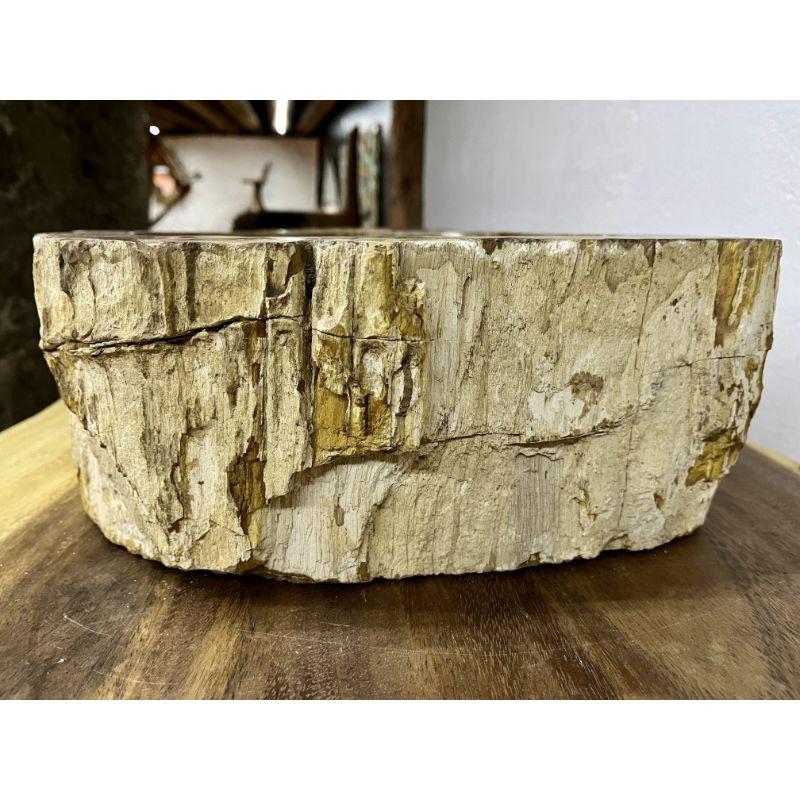 Petrified Wood Sink Brown/ Beige/ Yellow & Red Tones Polished Top Quality For Sale 6