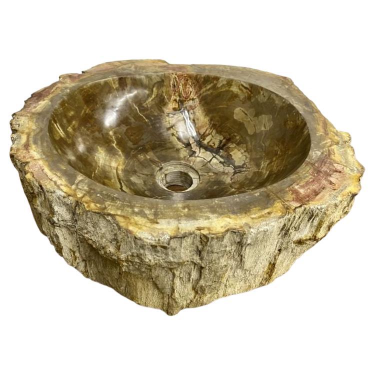 Petrified Wood Sink Brown/ Beige/ Yellow & Red Tones Polished Top Quality For Sale