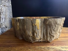 Petrified Wood Sink for Neva
