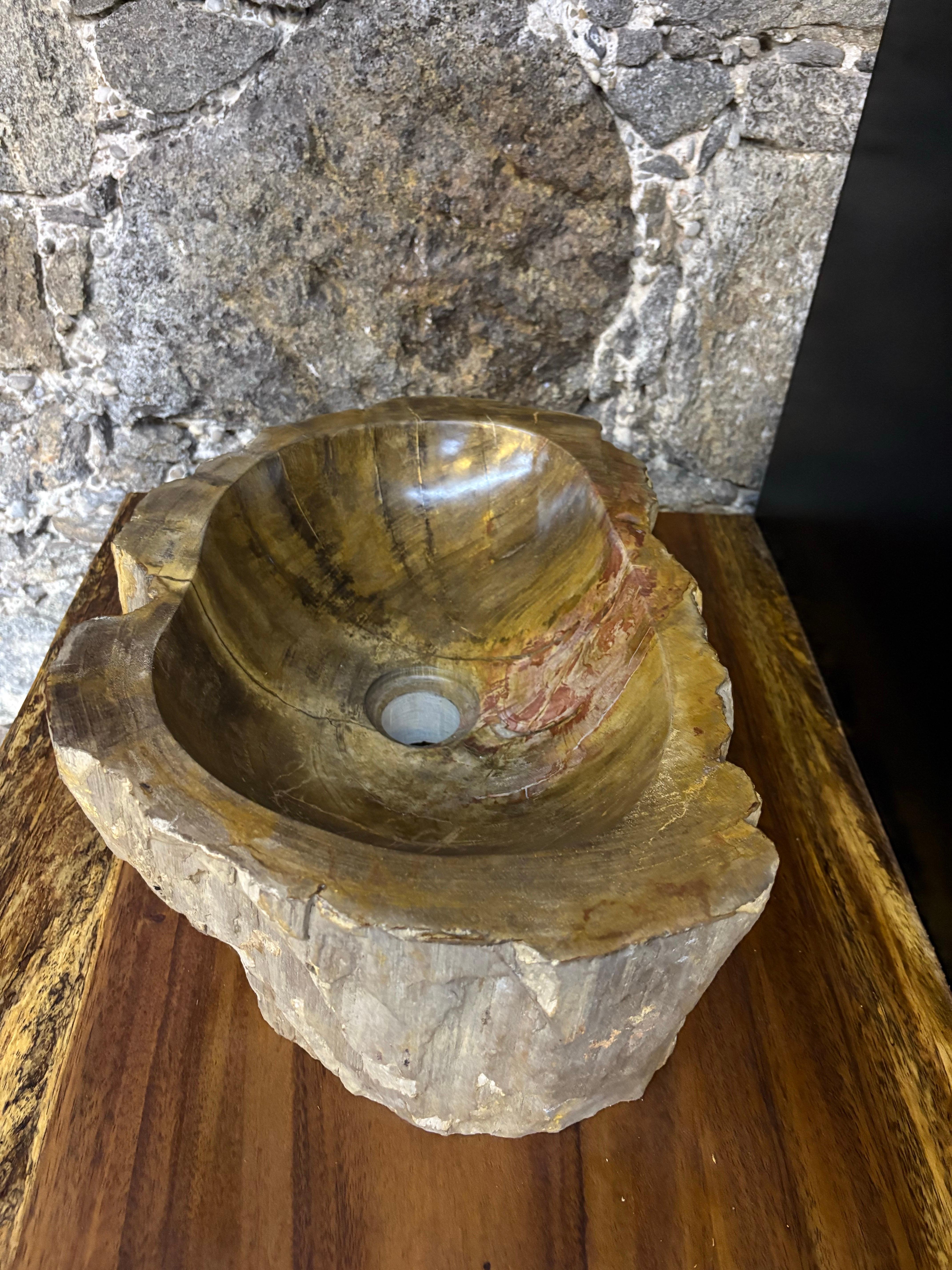 Organic Modern Petrified Wood Sink for Neva For Sale