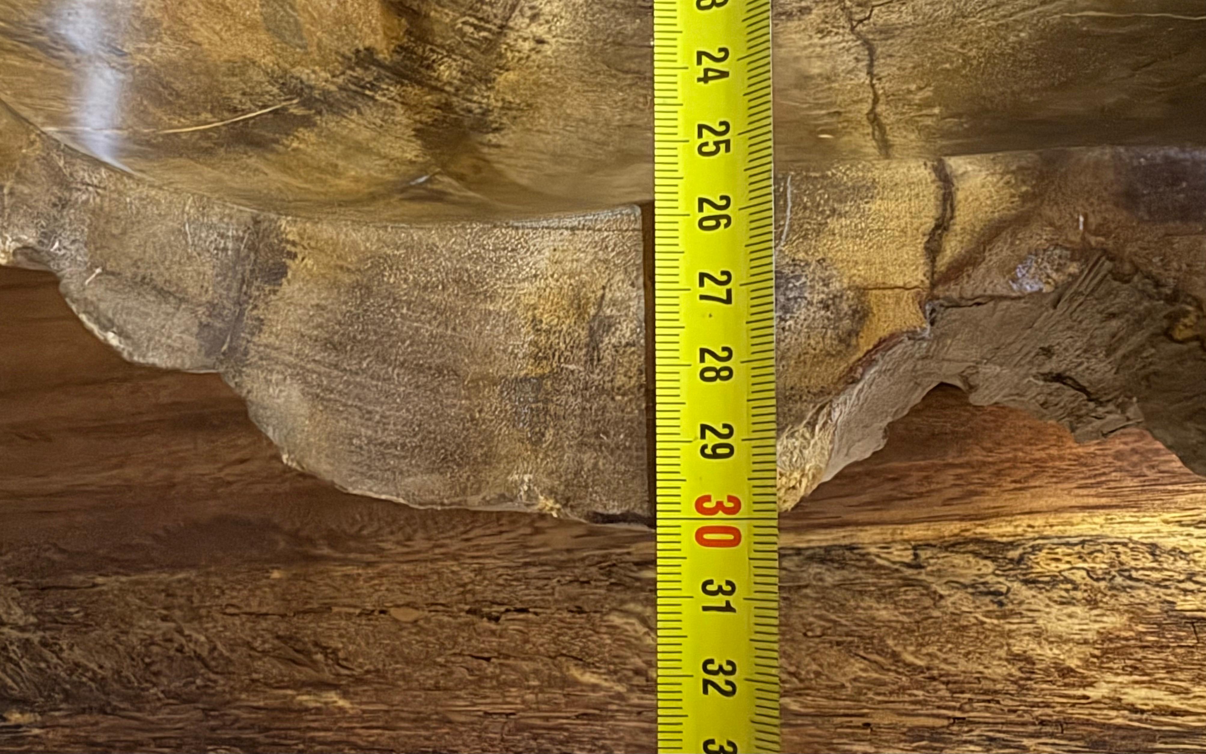 Indonesian Petrified Wood Sink for Neva For Sale