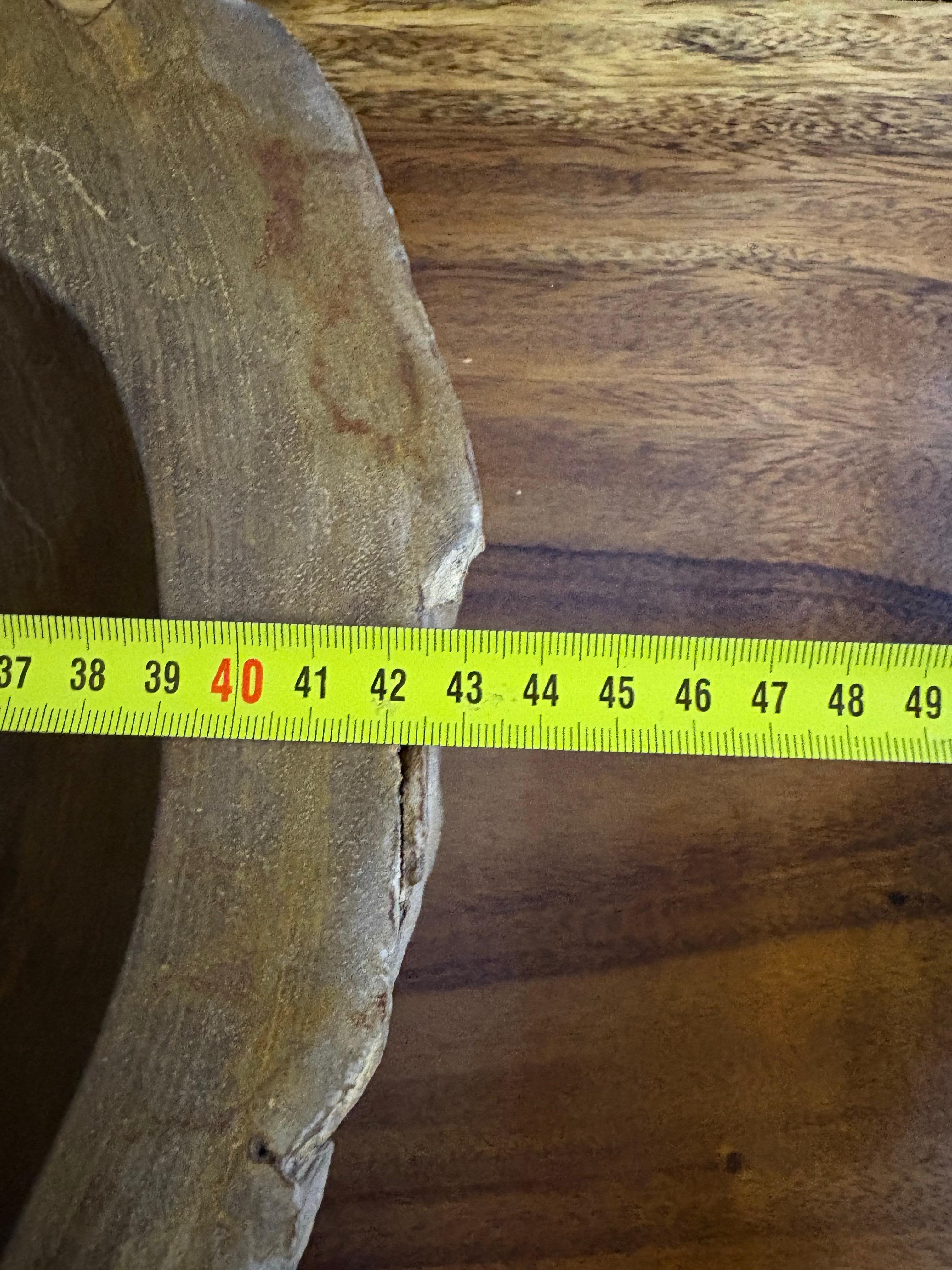Polished Petrified Wood Sink for Neva For Sale