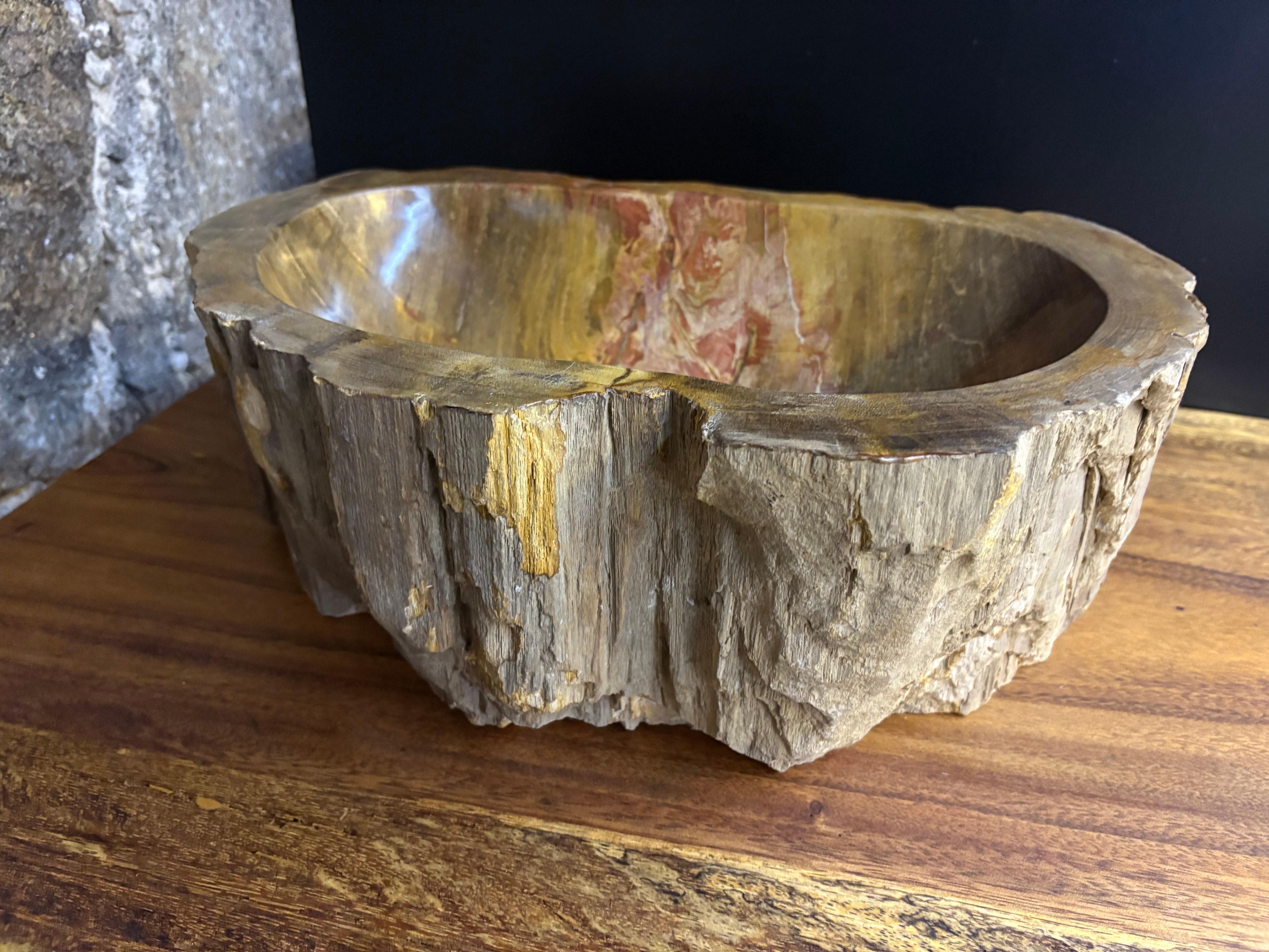 Petrified Wood Sink for Neva In New Condition For Sale In Lichtenberg, AT