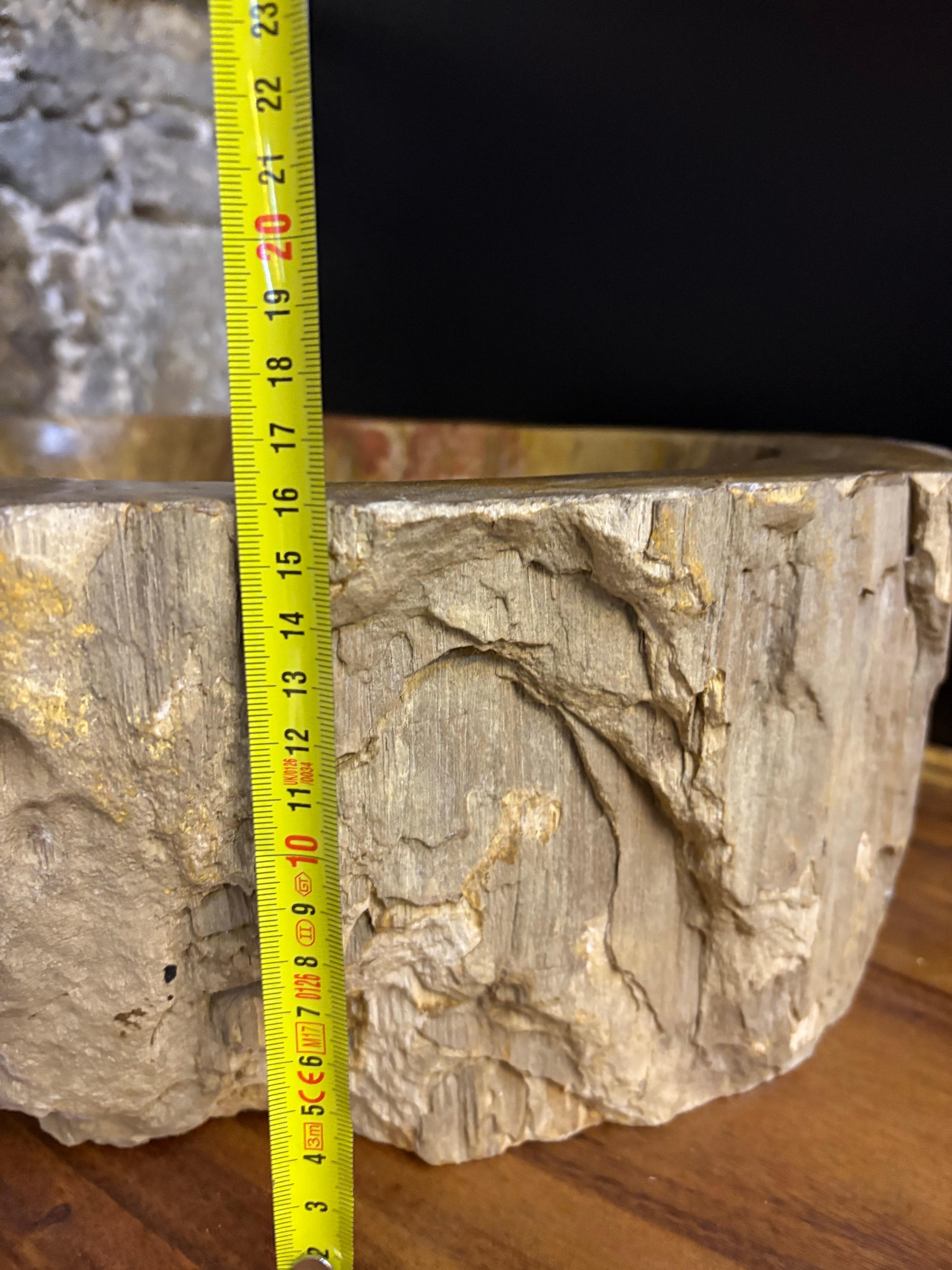 Contemporary Petrified Wood Sink for Neva For Sale