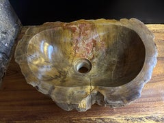 Petrified Wood Sink for Neva