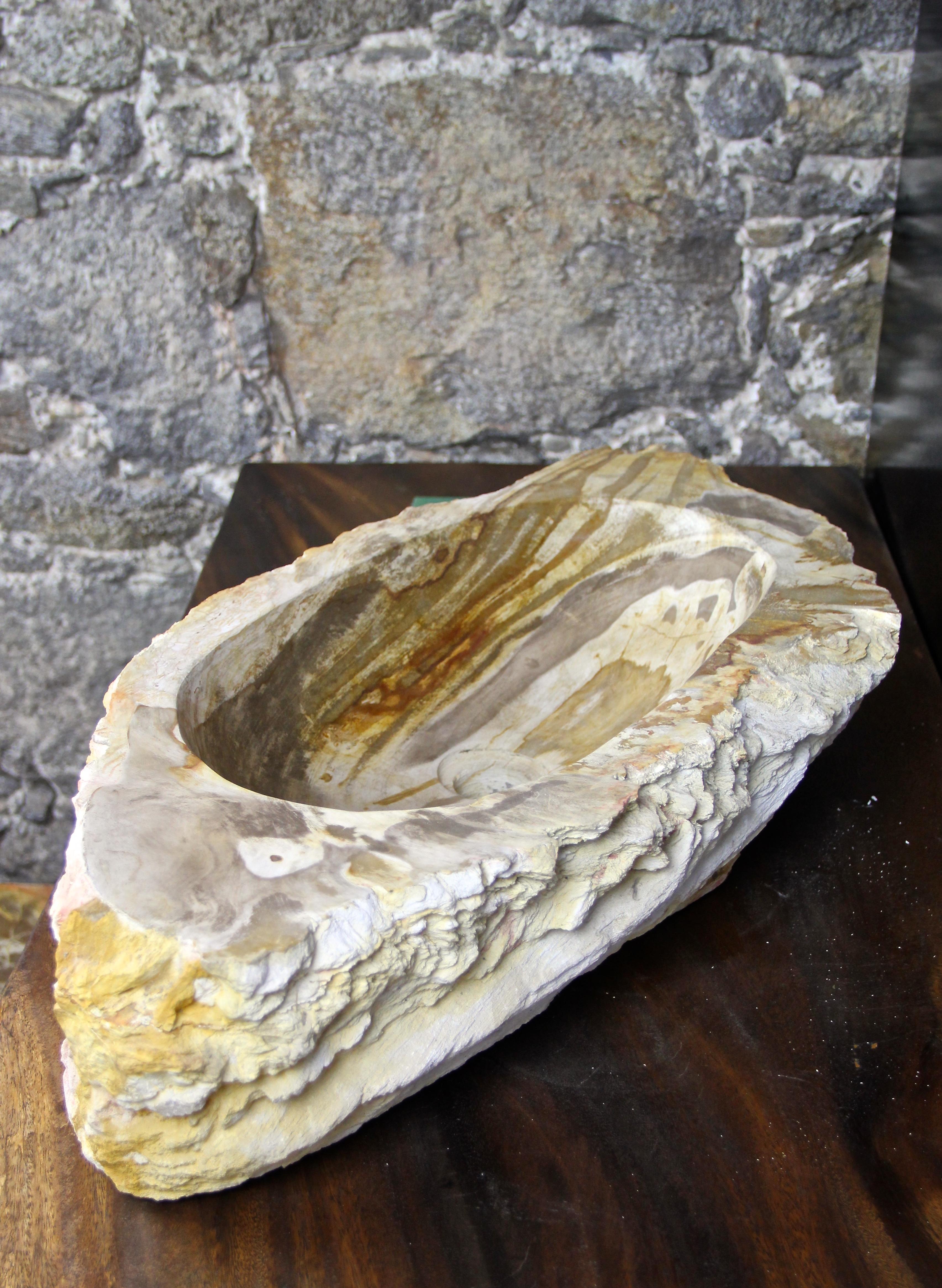 Petrified Wood Sink Grey/ Beige/ Red Tones Polished Top Quality 3