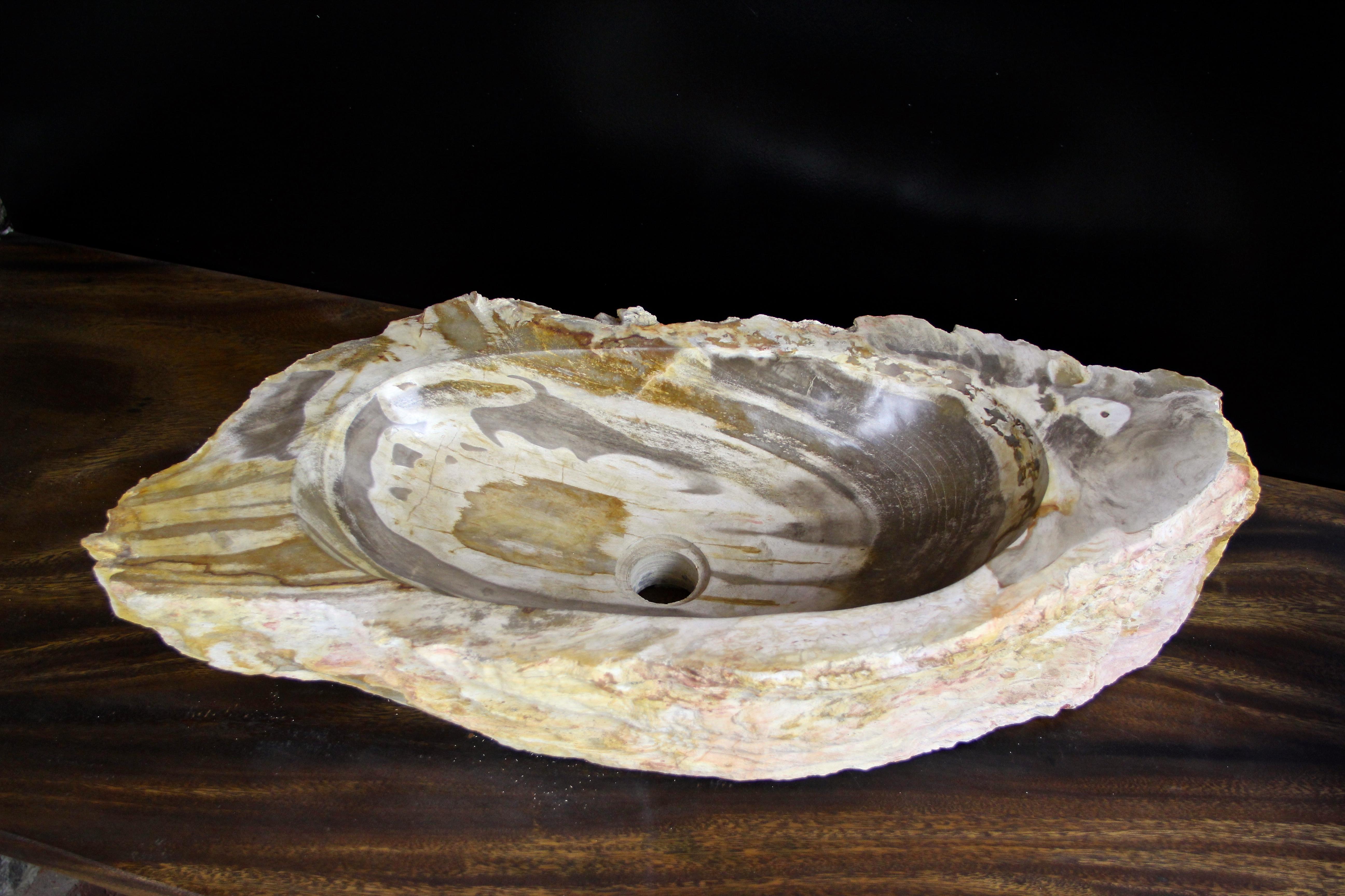 Petrified Wood Sink Grey/ Beige/ Red Tones Polished Top Quality 4