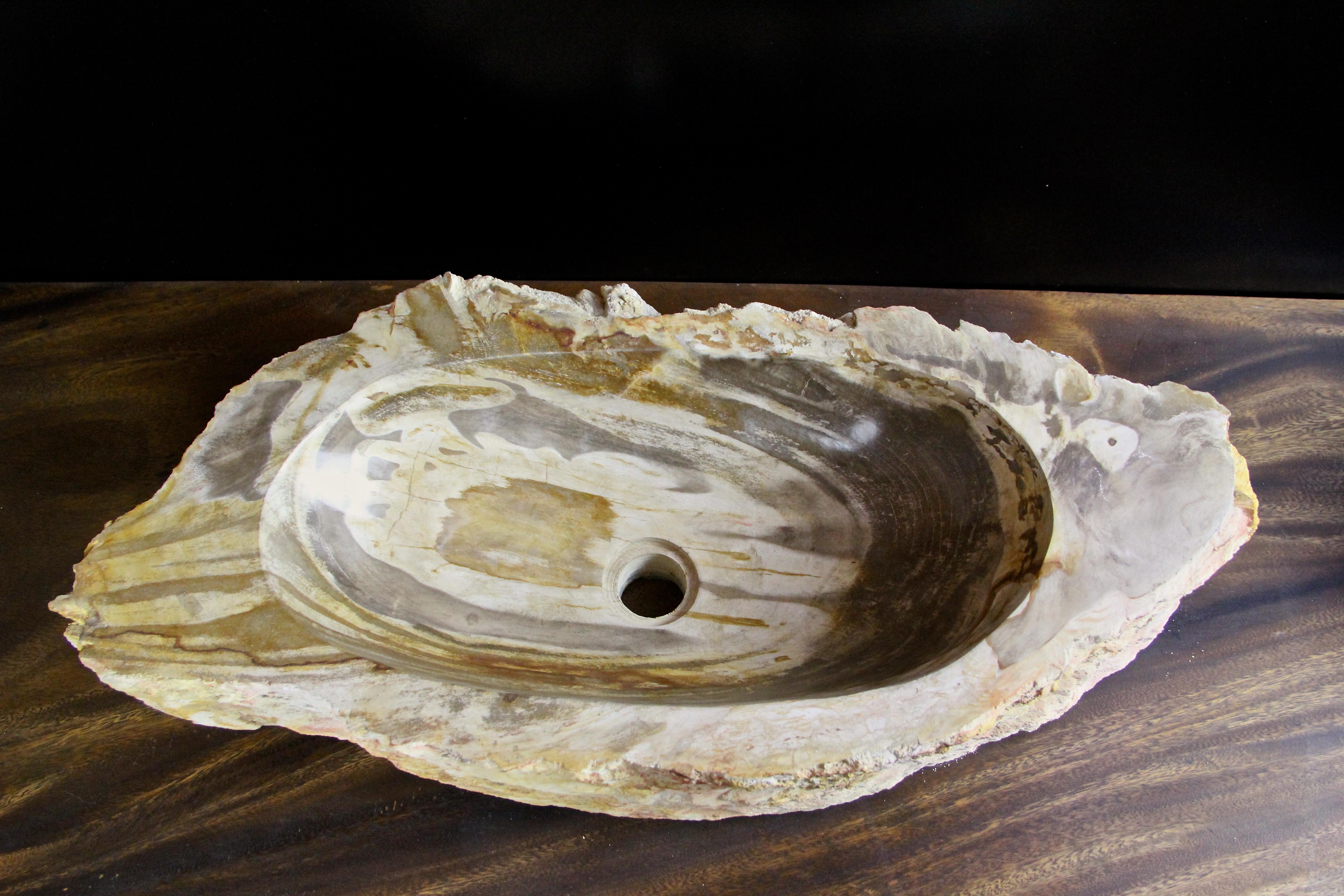 Indonesian Petrified Wood Sink Grey/ Beige/ Red Tones Polished Top Quality