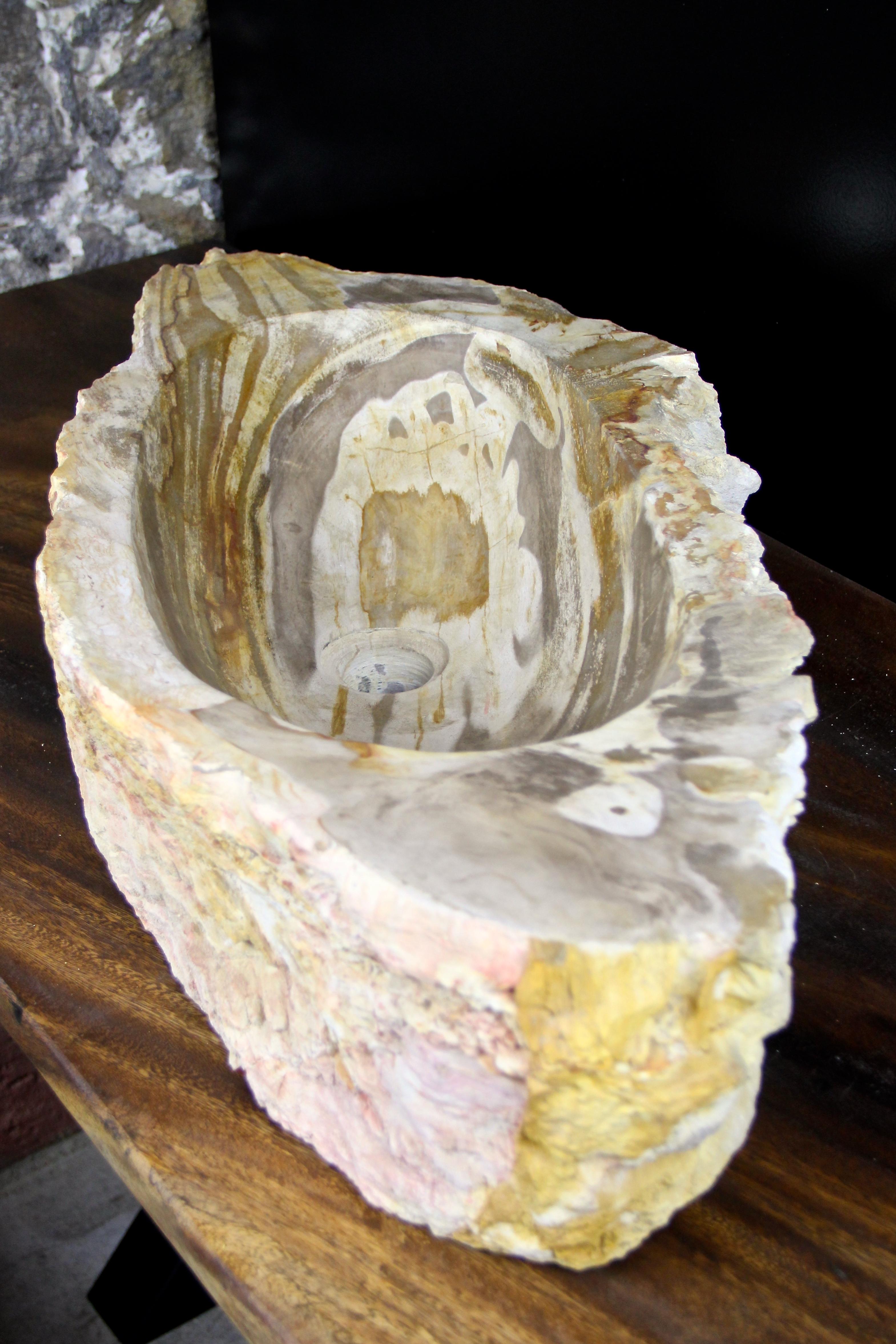 Petrified Wood Sink Grey/ Beige/ Red Tones Polished Top Quality 1