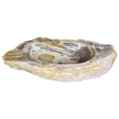 Petrified Wood Sink Grey/ Beige/ Red Tones Polished Top Quality