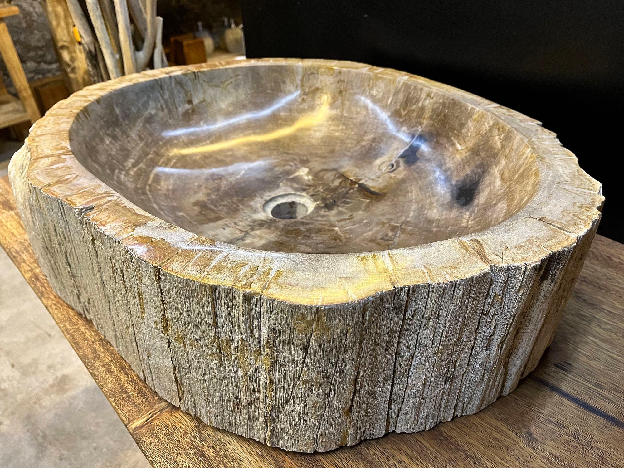 Petrified Wood Sink Grey/ Beige Tones, Organic Modern - Top Quality, IDN 2023 For Sale 4