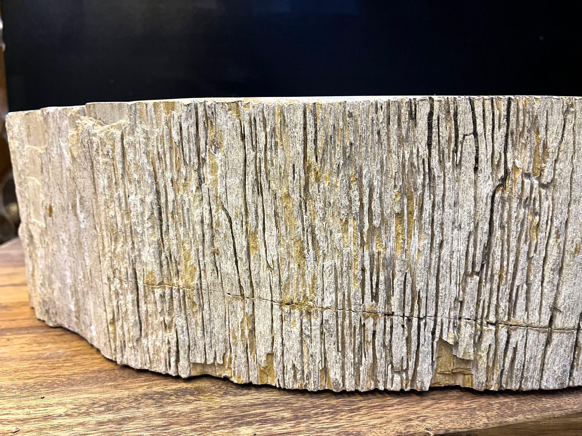Exceptional large petrified wood sink in absolute top quality. This organic modern sink impresses with a beautiful shape and a fantastic natural coloration in beige, brown and grey tones which are matchless. The inside of the sink shows a polished