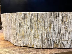 Petrified Wood Sink Grey/ Beige Tones, Organic Modern - Top Quality, IDN 2023