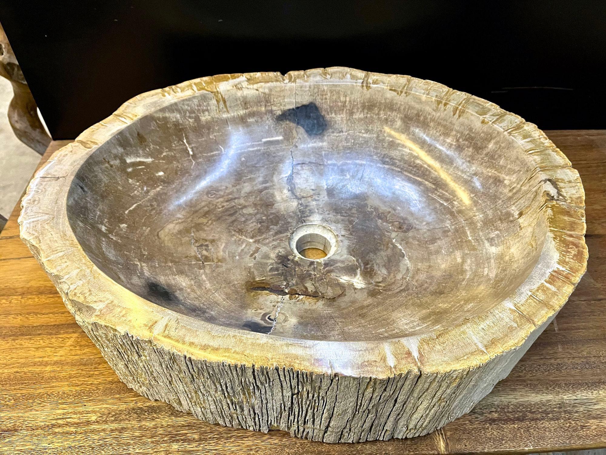 Polished Petrified Wood Sink Grey/ Beige Tones, Organic Modern - Top Quality, IDN 2023 For Sale