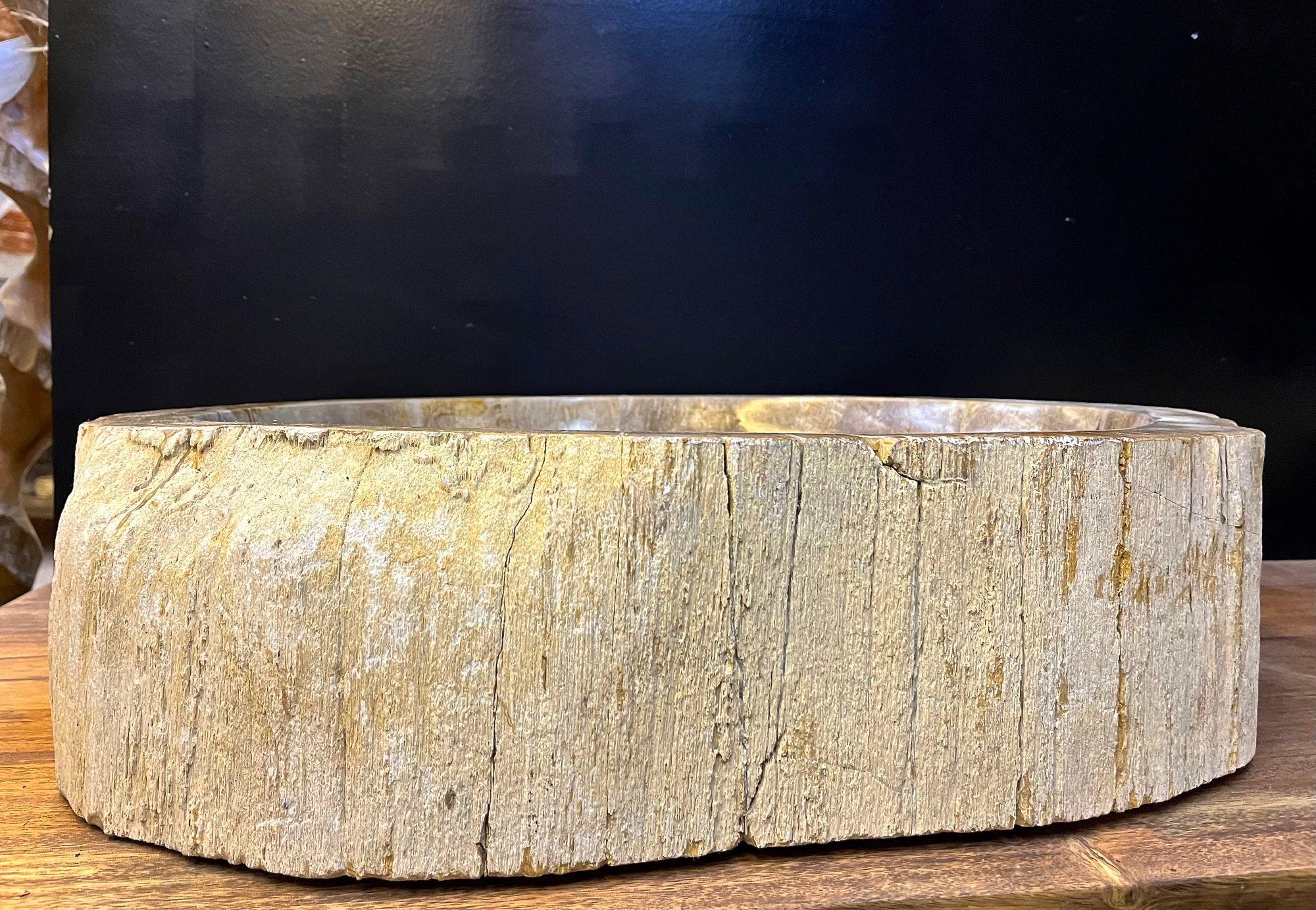 Petrified Wood Sink Grey/ Beige Tones, Organic Modern - Top Quality, IDN 2023 In New Condition For Sale In Lichtenberg, AT