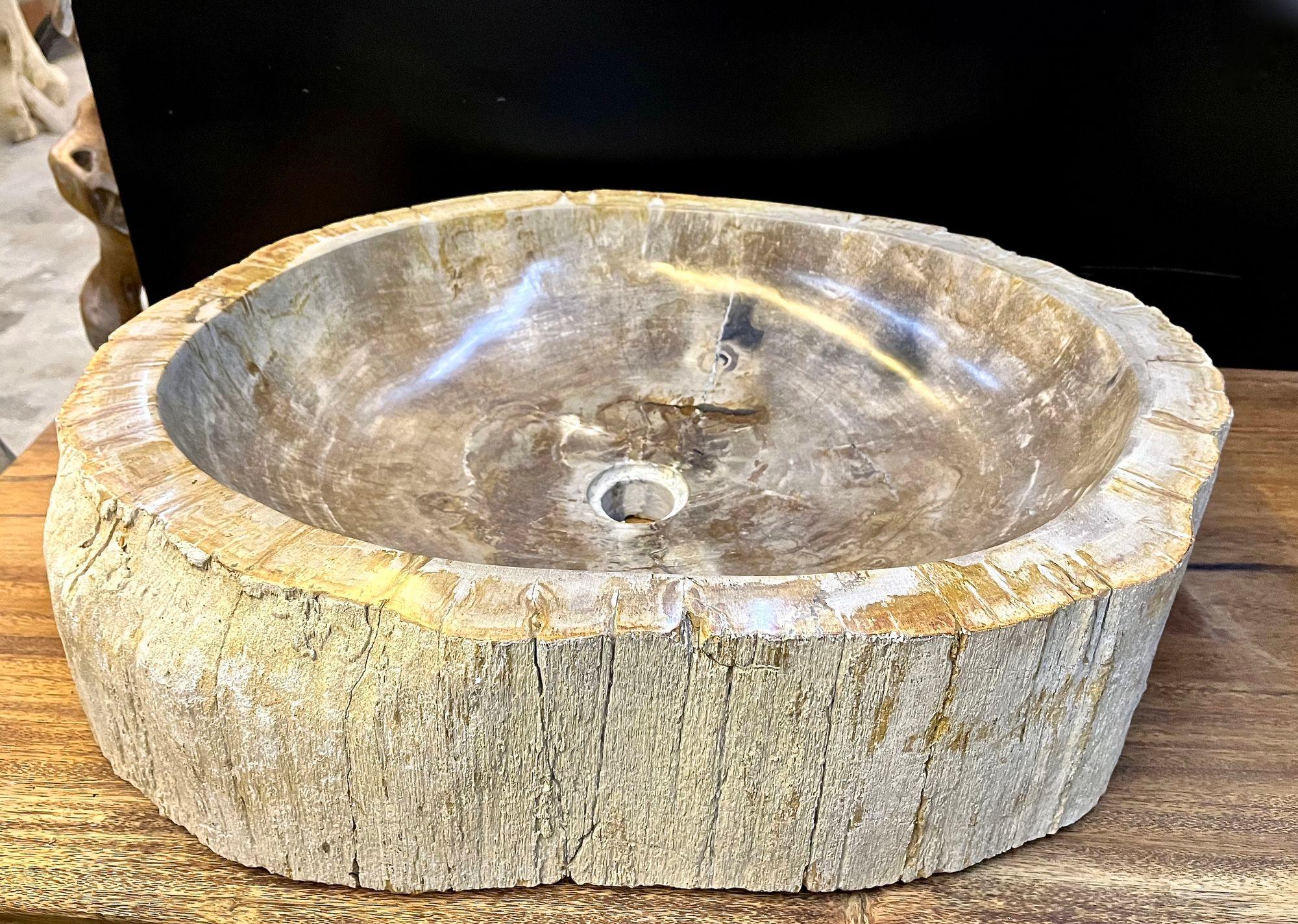 Contemporary Petrified Wood Sink Grey/ Beige Tones, Organic Modern - Top Quality, IDN 2023 For Sale