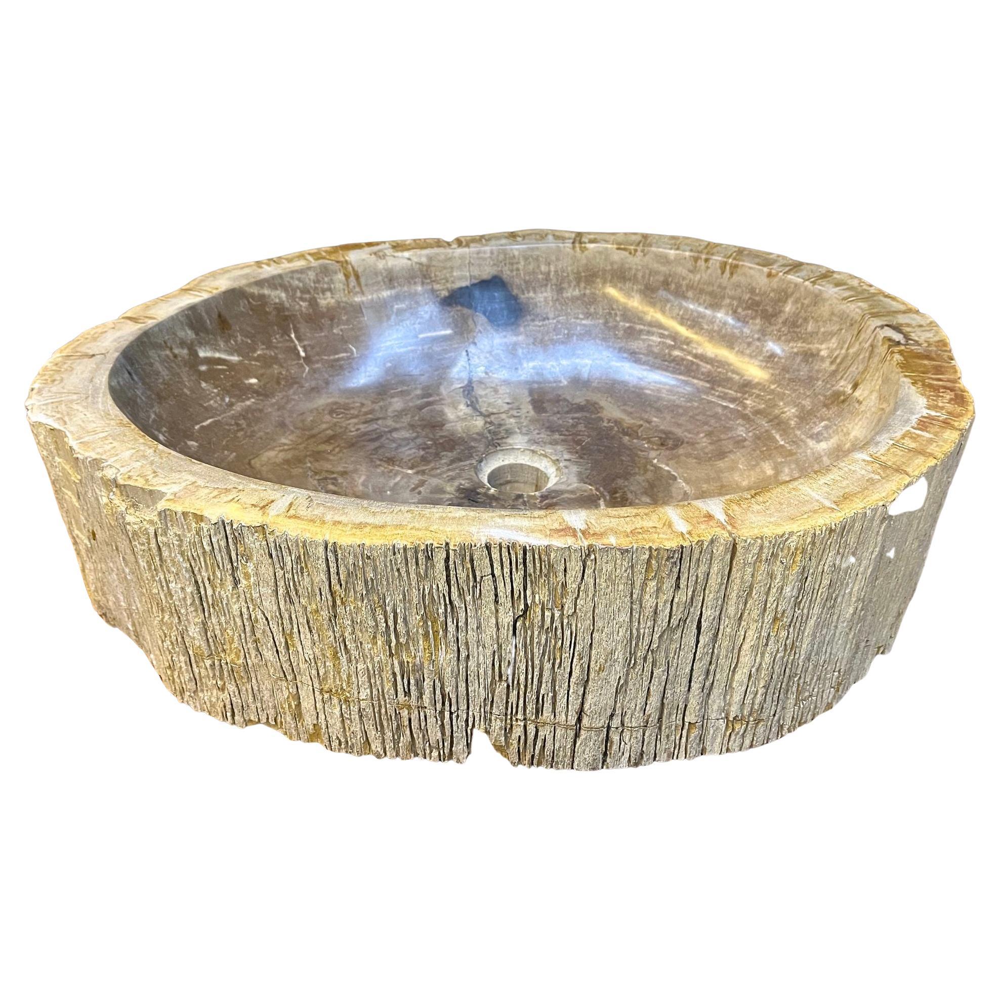 Versteinertes Holz Waschbecken in Grau/Beige-Ton, Organische Moderne – Top-Qualität, IDN 2023