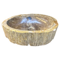 Petrified Wood Sink Grey/ Beige Tones, Organic Modern - Top Quality, IDN 2023