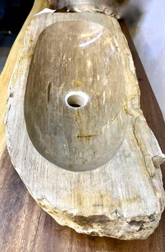 Petrified Wood Sink Grey/ Beige Tones, Polished - Top Quality, IDN 2023