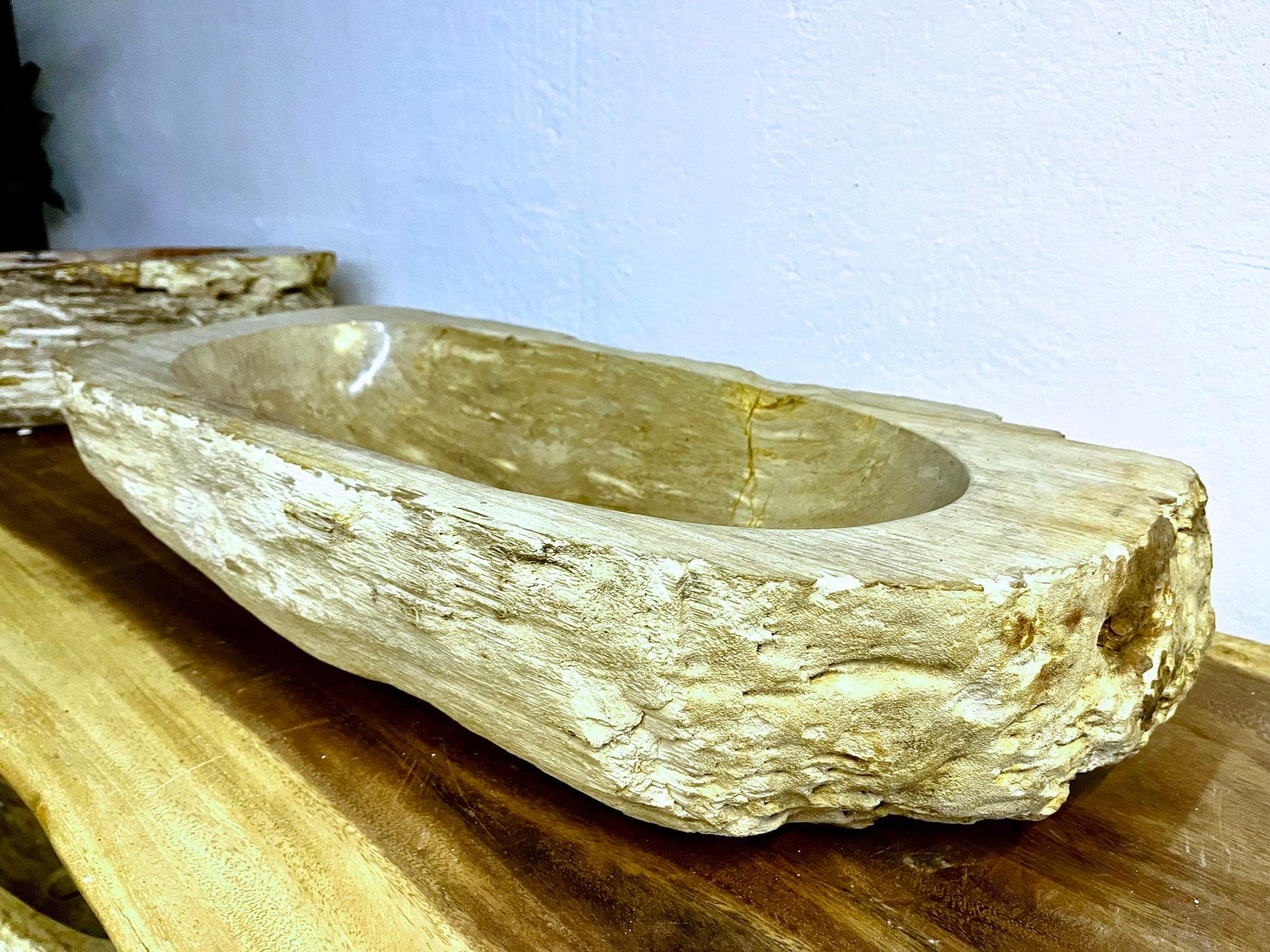 Petrified Wood Sink Grey/ Beige Tones, Polished - Top Quality, IDN 2023 For Sale 1