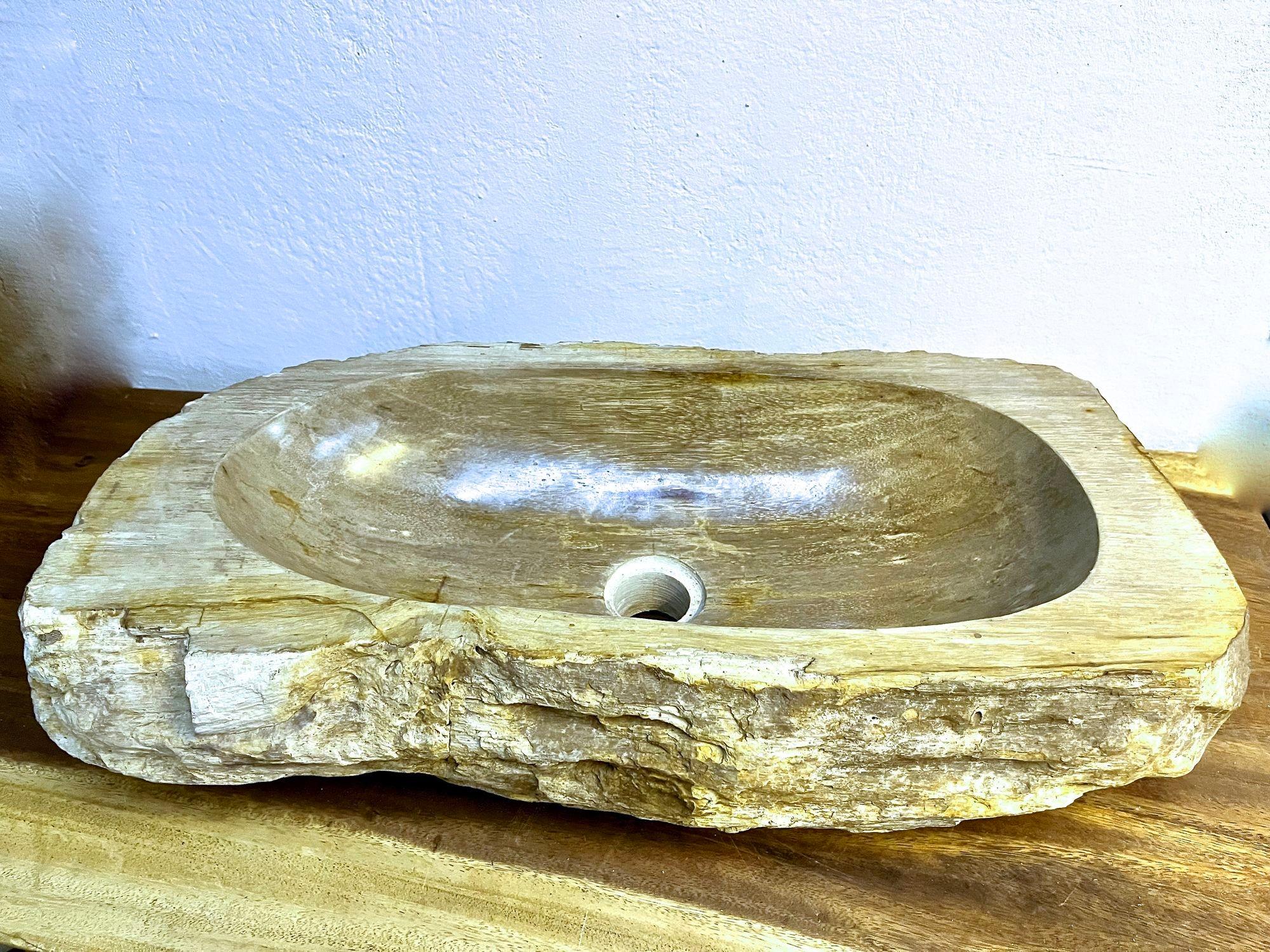 Petrified Wood Sink Grey/ Beige Tones, Polished - Top Quality, IDN 2023 For Sale 3