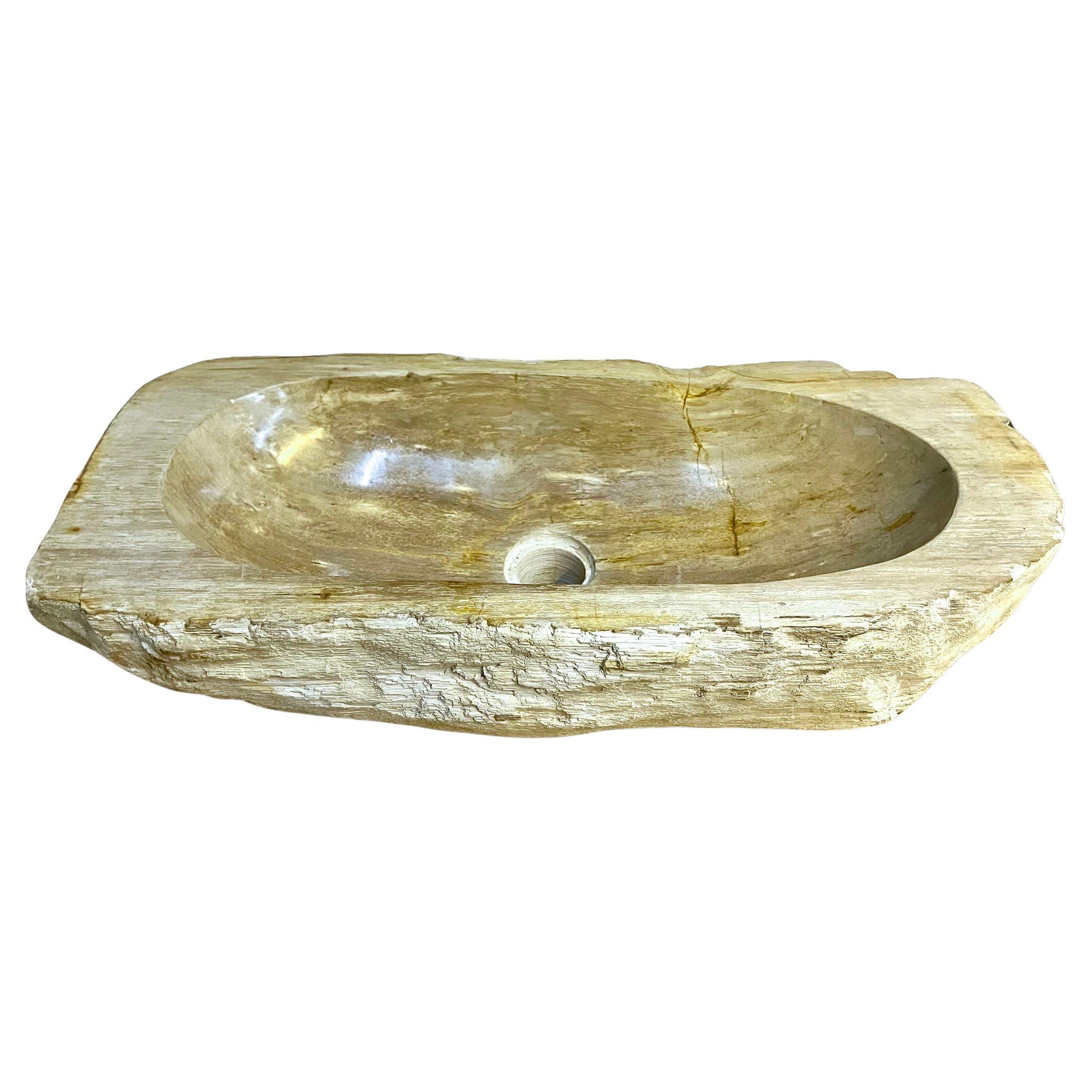 Petrified Wood Sink Grey/ Beige Tones, Polished - Top Quality, IDN 2023 For Sale