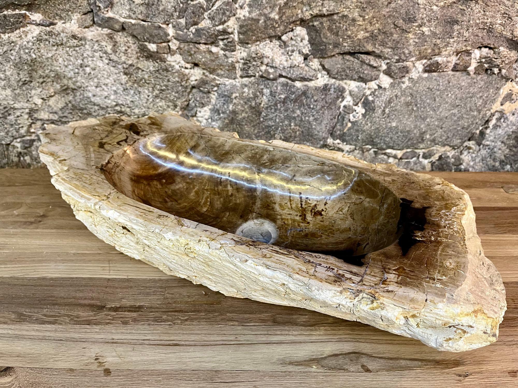 Petrified Wood Sink Grey, Brown and Beige Tones, Polished, Top Quality 6