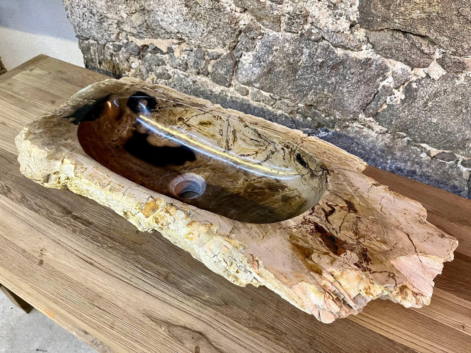 Organic Modern Petrified Wood Sink Grey, Brown and Beige Tones, Polished, Top Quality