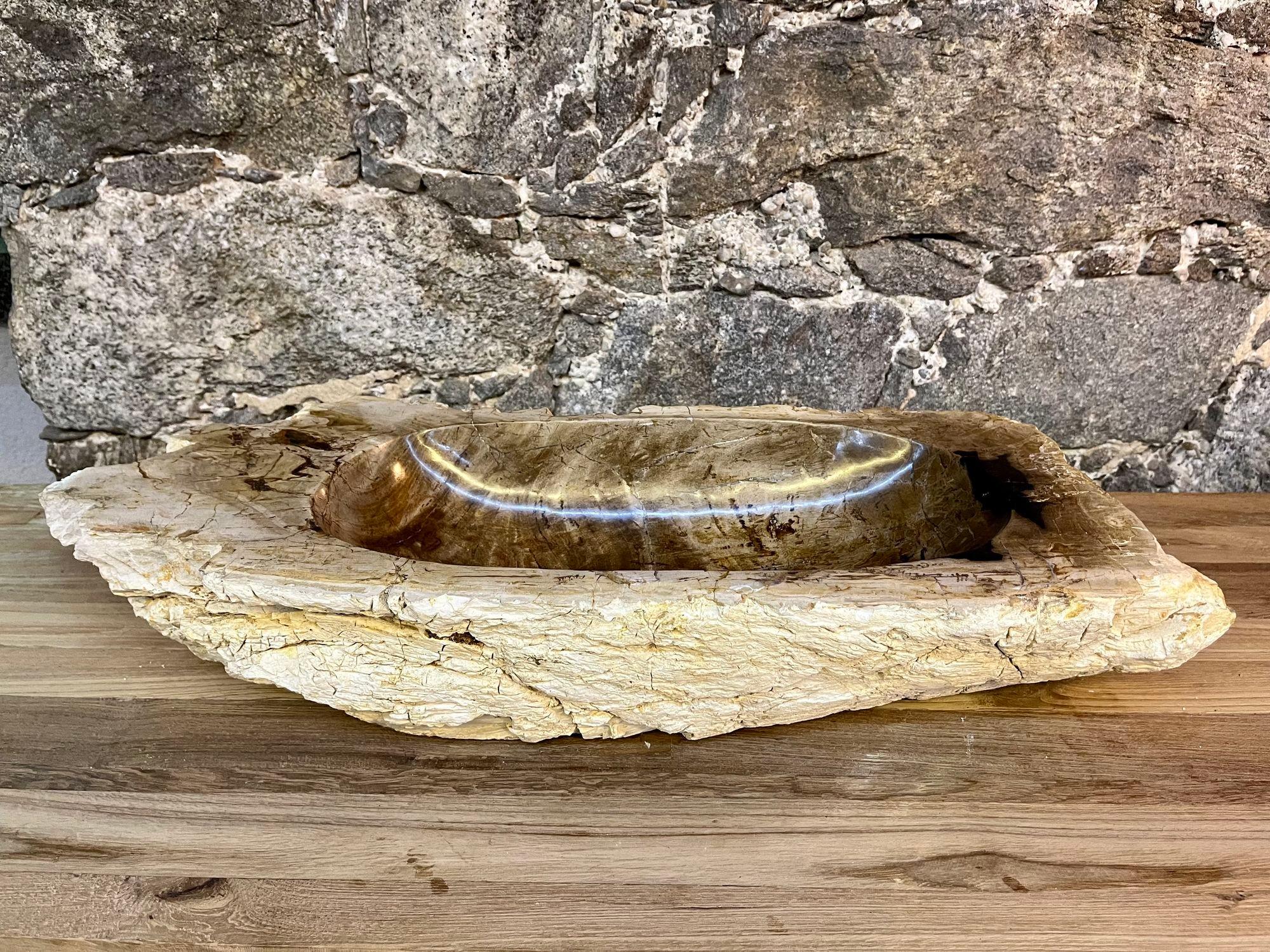 Petrified Wood Sink Grey, Brown and Beige Tones, Polished, Top Quality 1