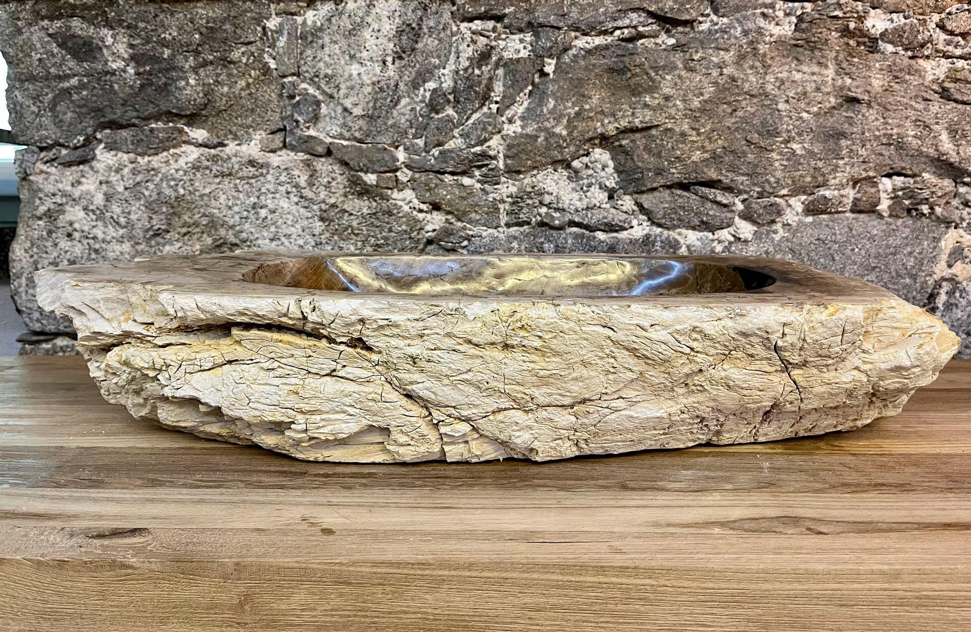 Petrified Wood Sink Grey, Brown and Beige Tones, Polished, Top Quality 3