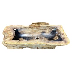 Petrified Wood Sink Grey, Brown, Black, Beige Tones, Polished - Top Quality