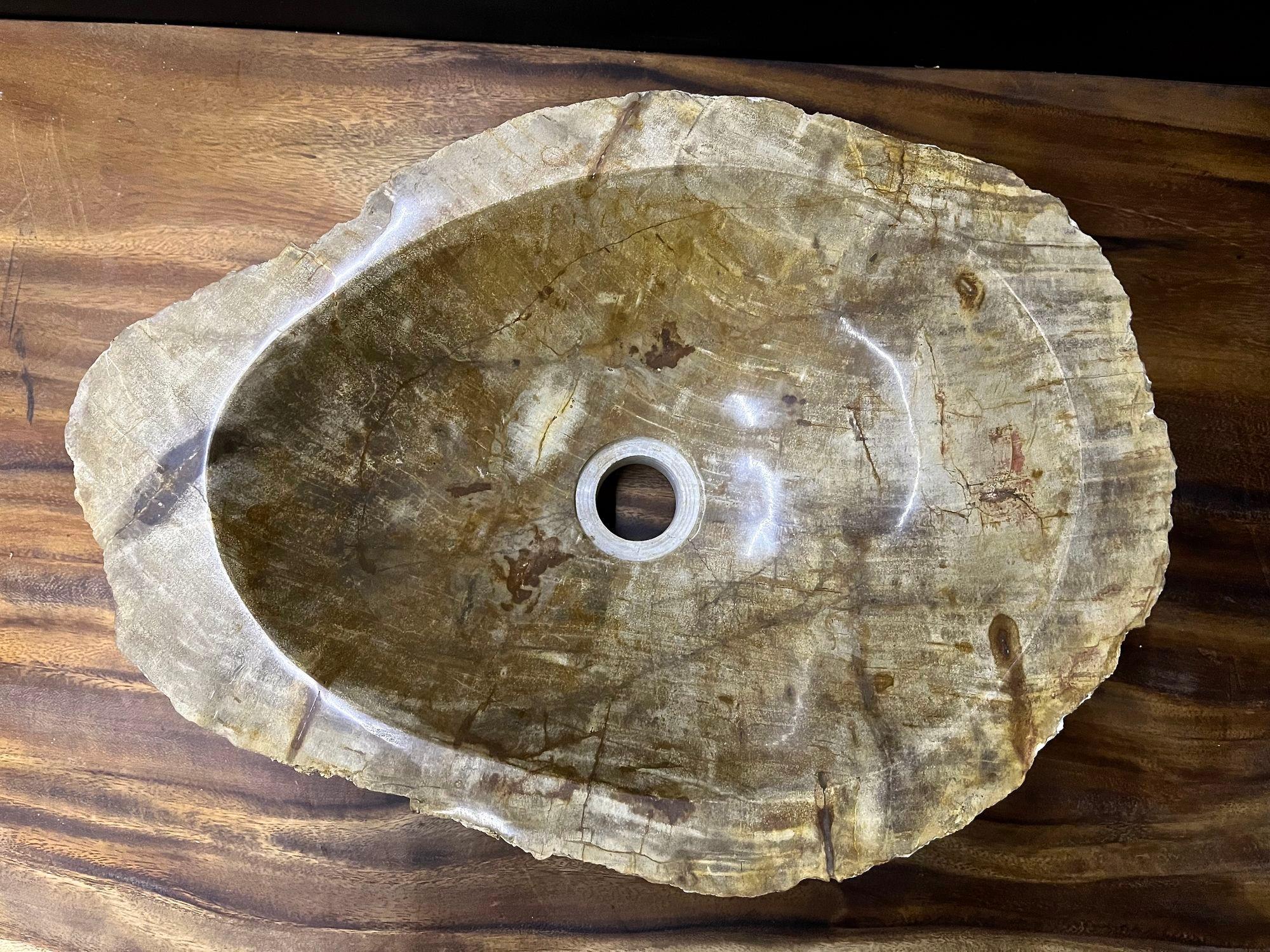 Amazing looking organic modern petrified wood sink in absolute top quality. This one of a kind sink impresses with its extraordinary shape and fantastic patterns in different beautiful brown, grey and beige tones. The inside of the sink comes with a