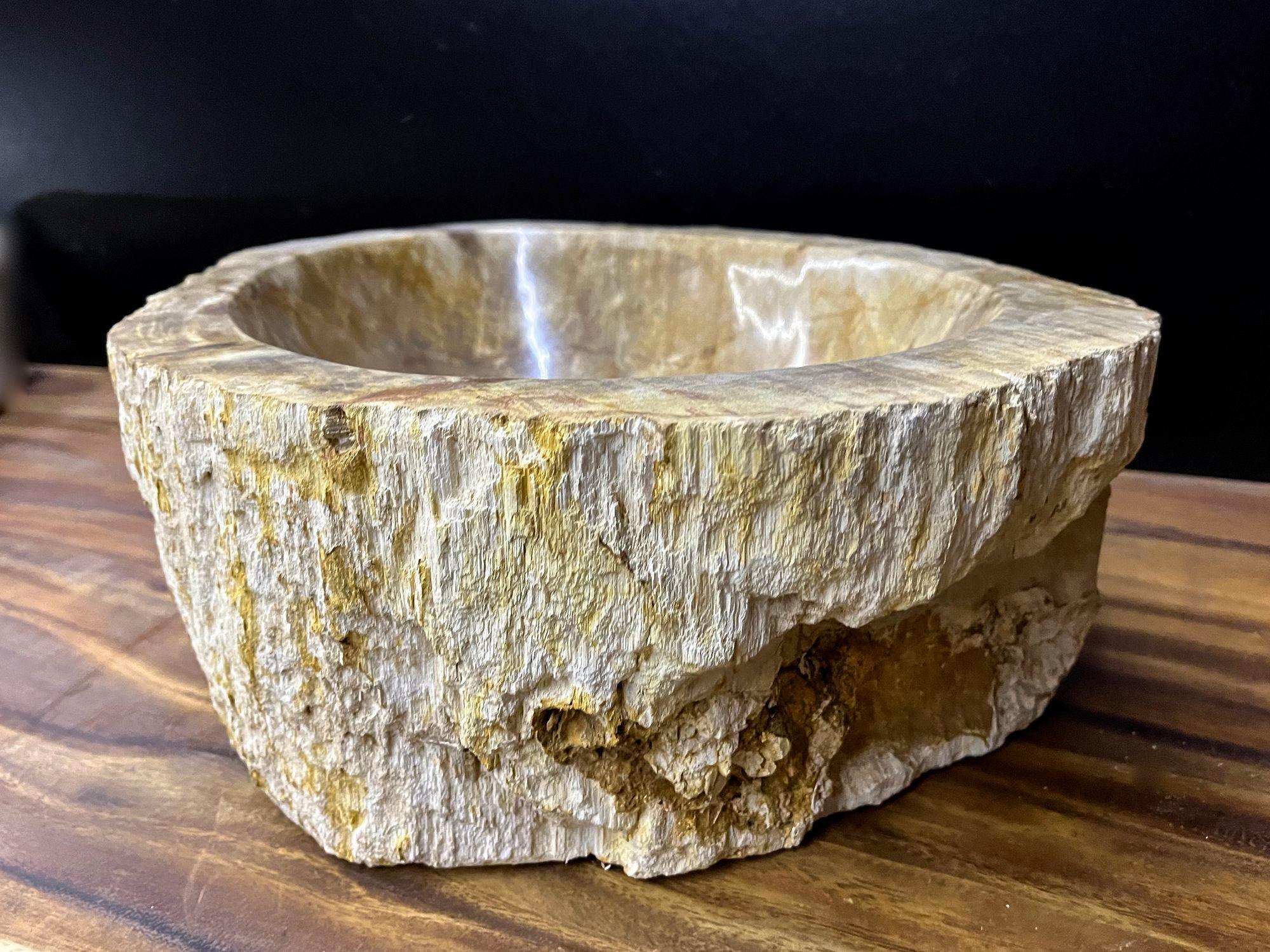 Polished Petrified Wood Sink In Beige/ Brown/ Grey Tones- Organic Modern, Top Quality For Sale