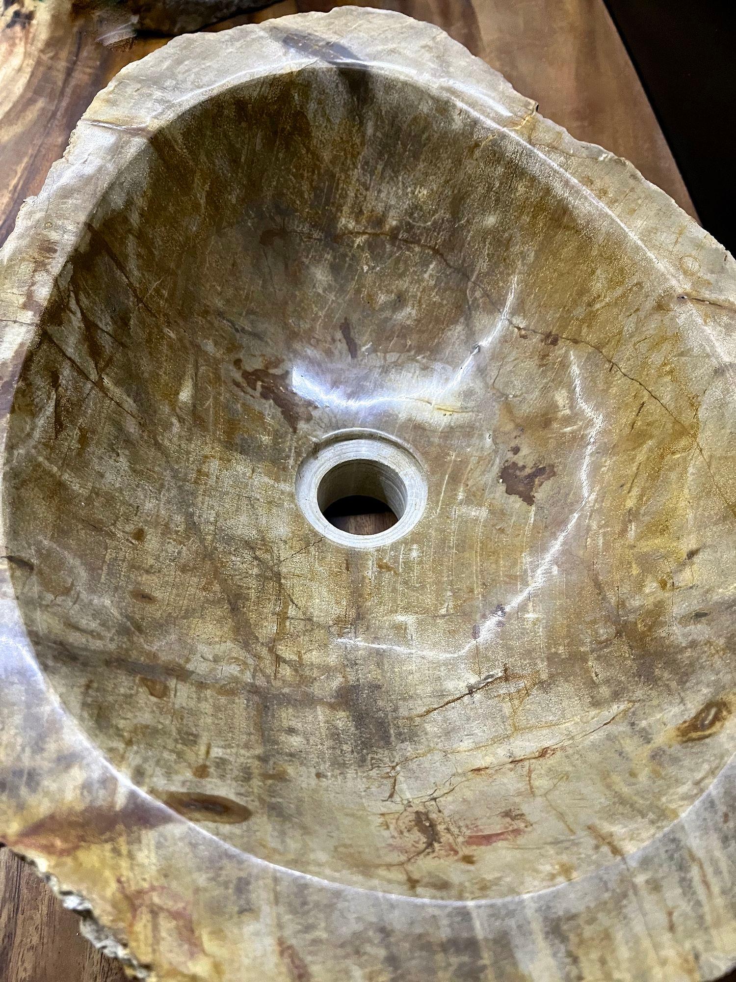 Petrified Wood Sink In Beige/ Brown/ Grey Tones- Organic Modern, Top Quality In Excellent Condition For Sale In Lichtenberg, AT