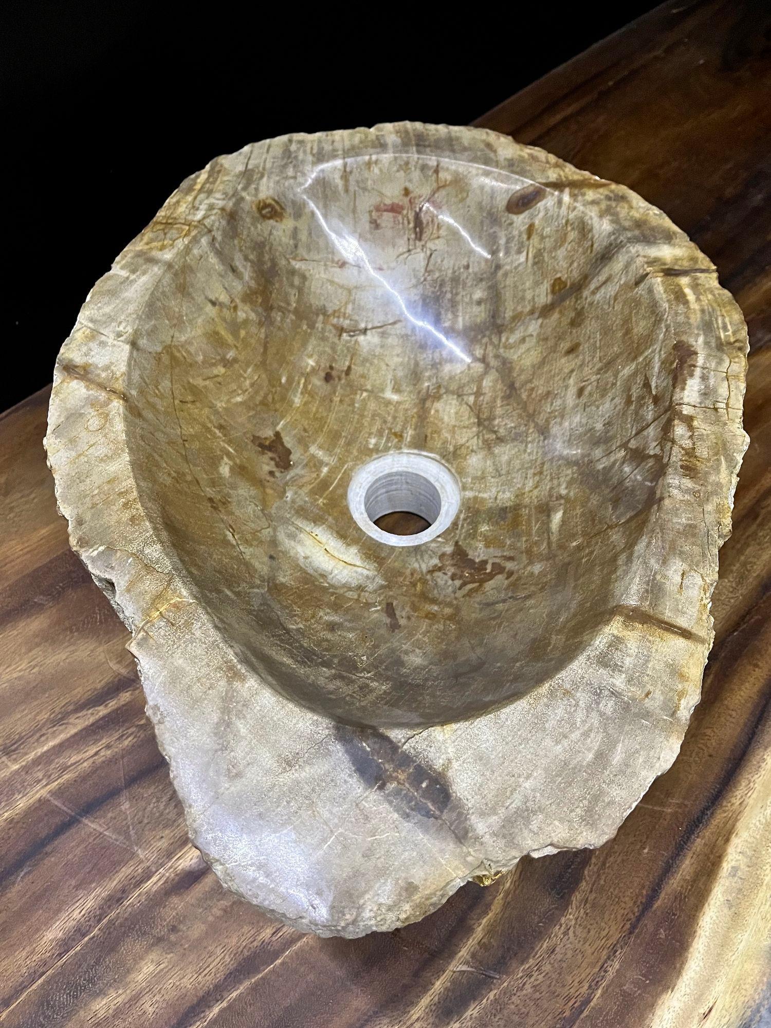 Petrified Wood Sink In Beige/ Brown/ Grey Tones- Organic Modern, Top Quality For Sale 1