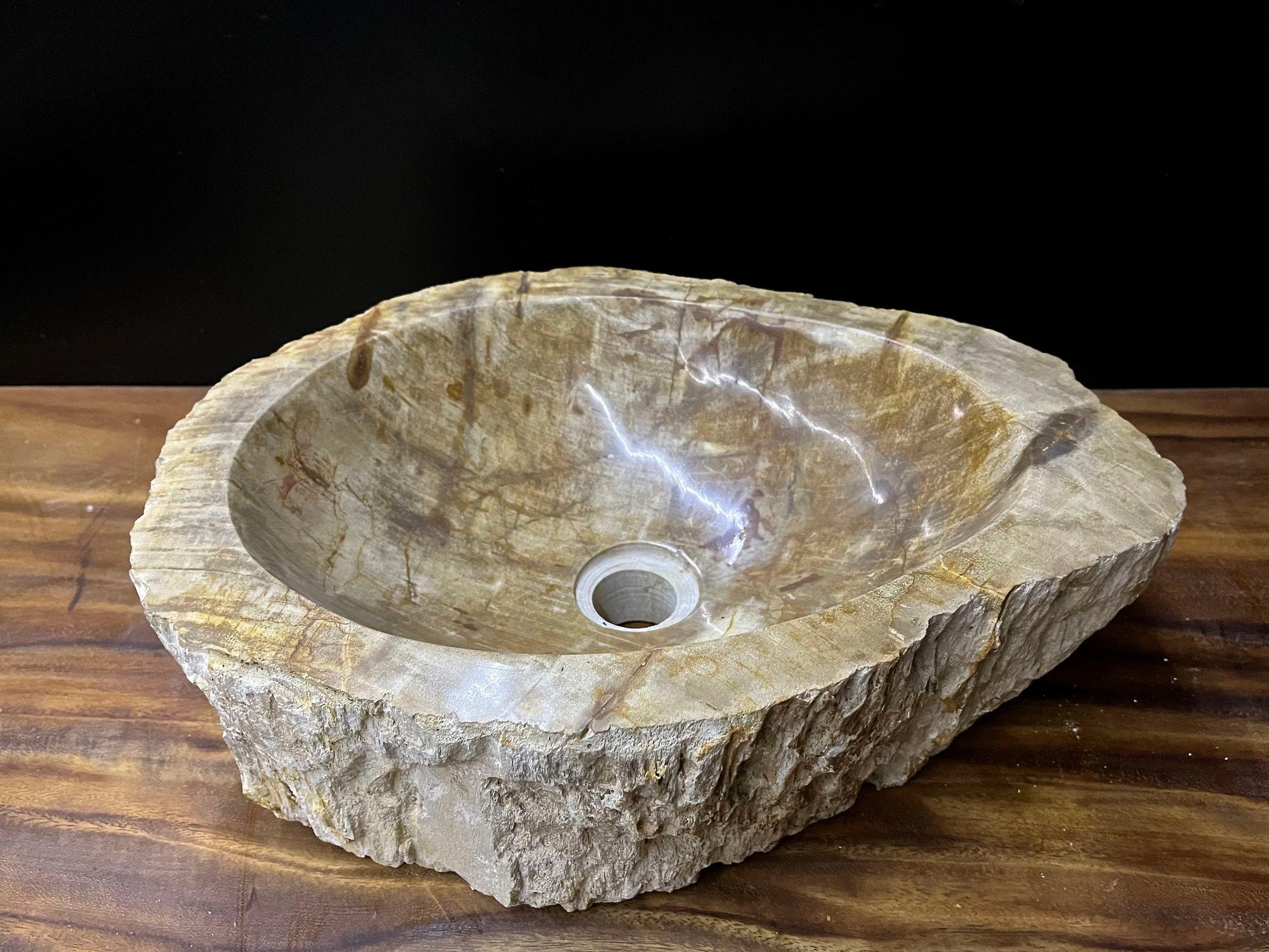 Petrified Wood Sink In Beige/ Brown/ Grey Tones- Organic Modern, Top Quality For Sale 2
