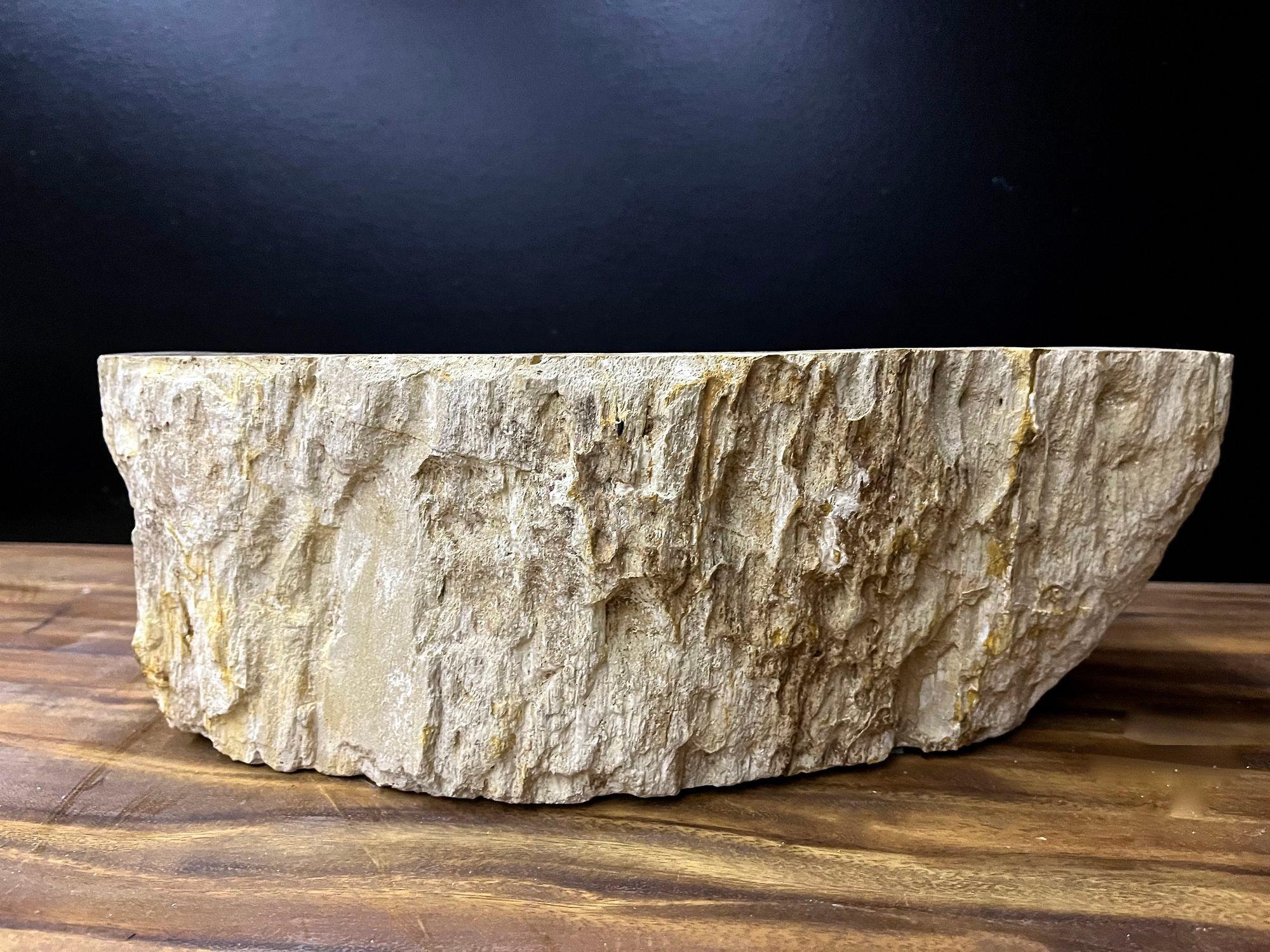 Petrified Wood Sink In Beige/ Brown/ Grey Tones- Organic Modern, Top Quality For Sale 3