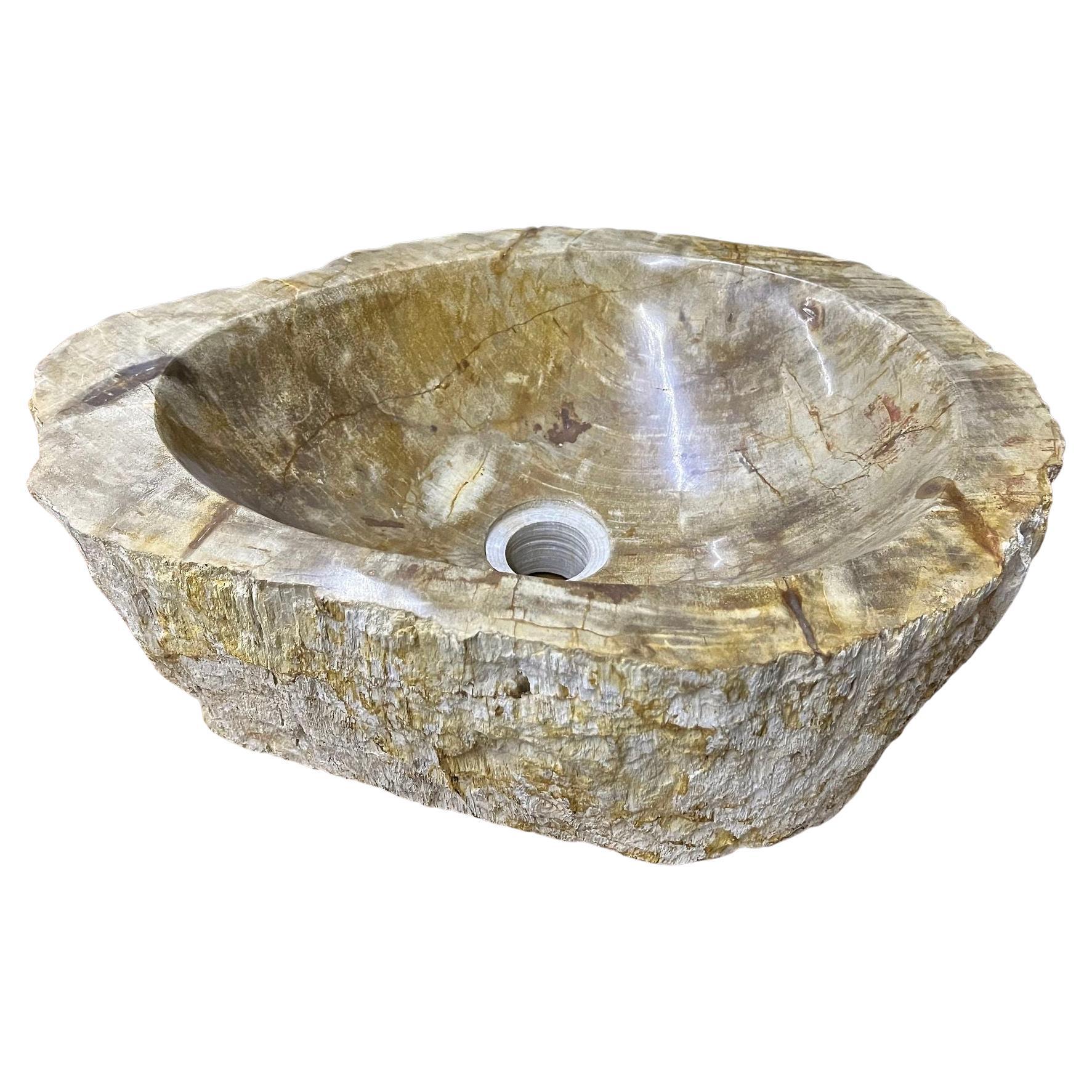 Petrified Wood Sink In Beige/ Brown/ Grey Tones- Organic Modern, Top Quality For Sale