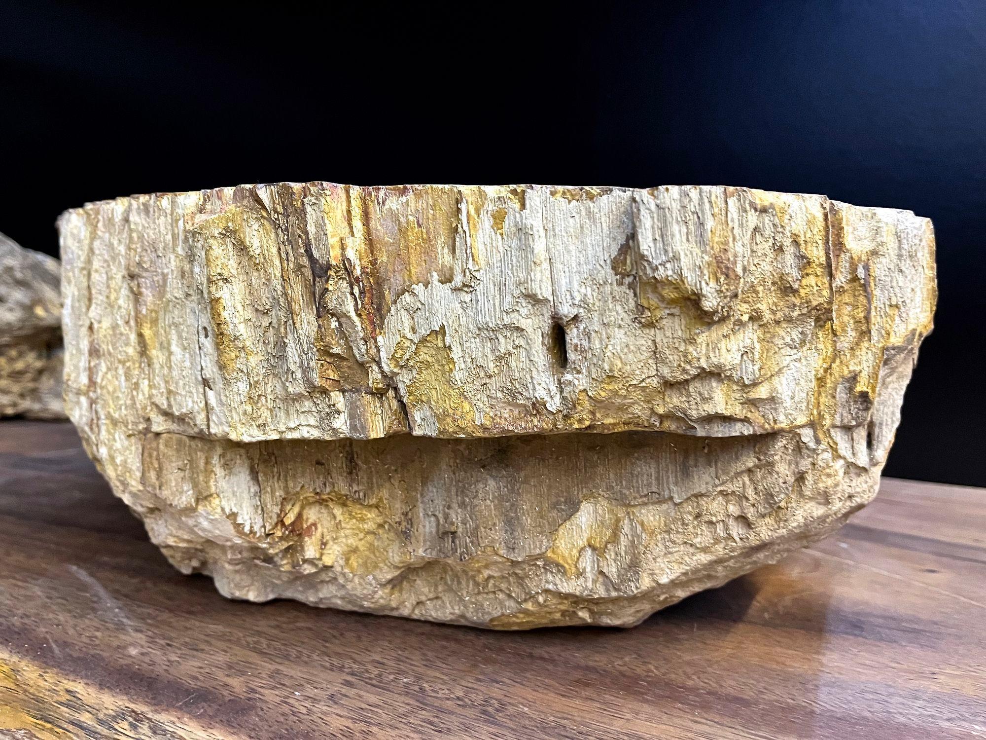 Petrified Wood Sink In Beige/ Brown/ Yellow Tones - Polished, Top Quality, IDN For Sale 4