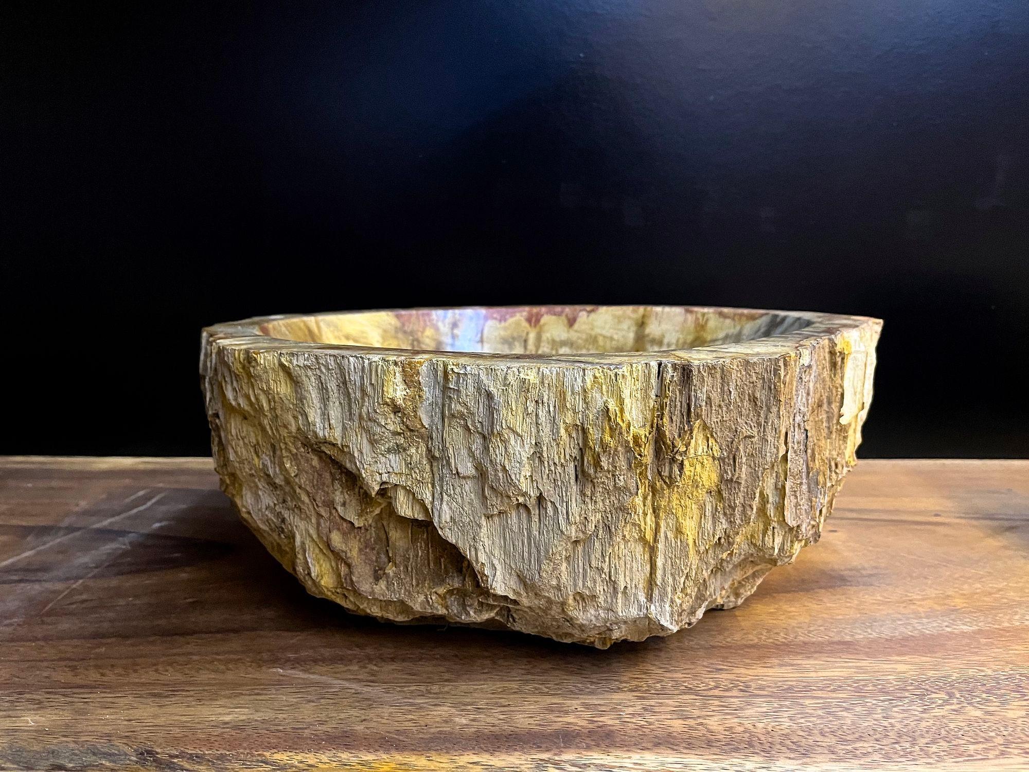 One of a kind organic modern petrified wood sink in absolute top quality. This unique single 