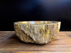 Petrified Wood Sink In Beige/ Brown/ Yellow Tones - Polished, Top Quality, IDN