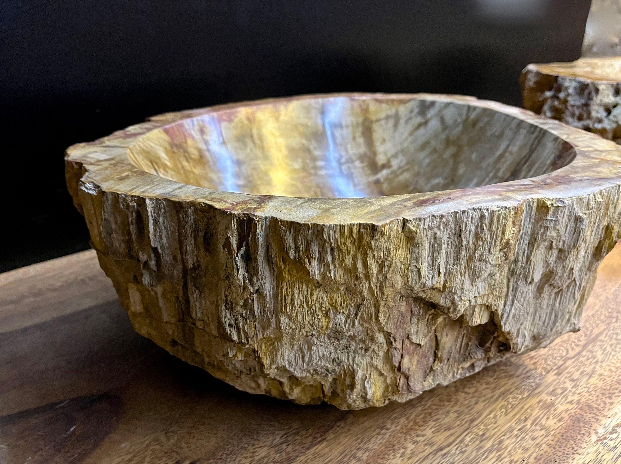 Organic Modern Petrified Wood Sink In Beige/ Brown/ Yellow Tones - Polished, Top Quality, IDN For Sale