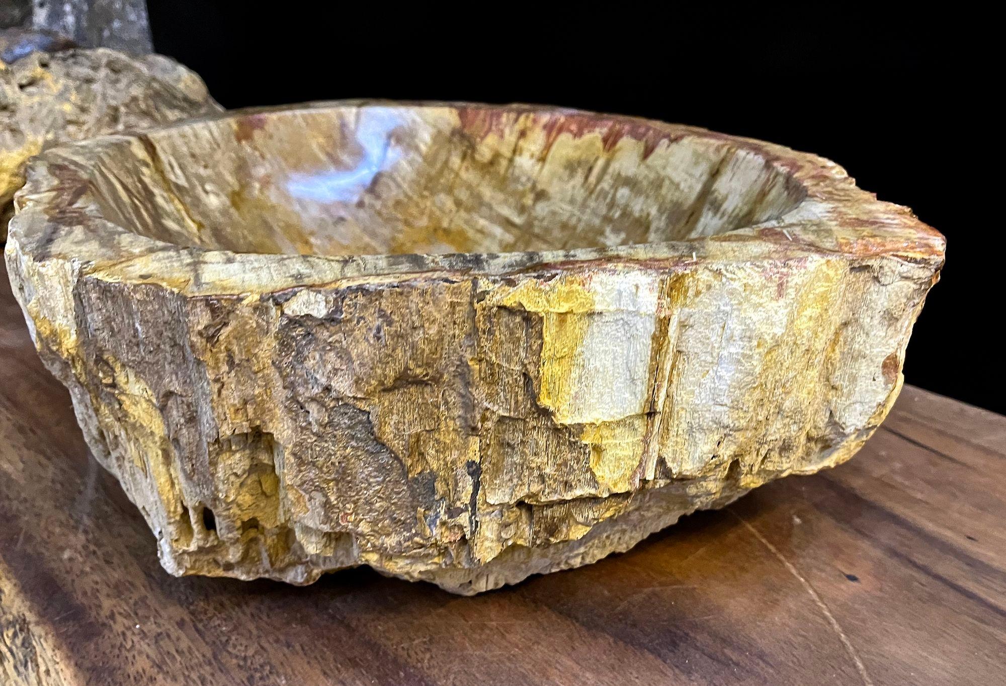Indonesian Petrified Wood Sink In Beige/ Brown/ Yellow Tones - Polished, Top Quality, IDN For Sale