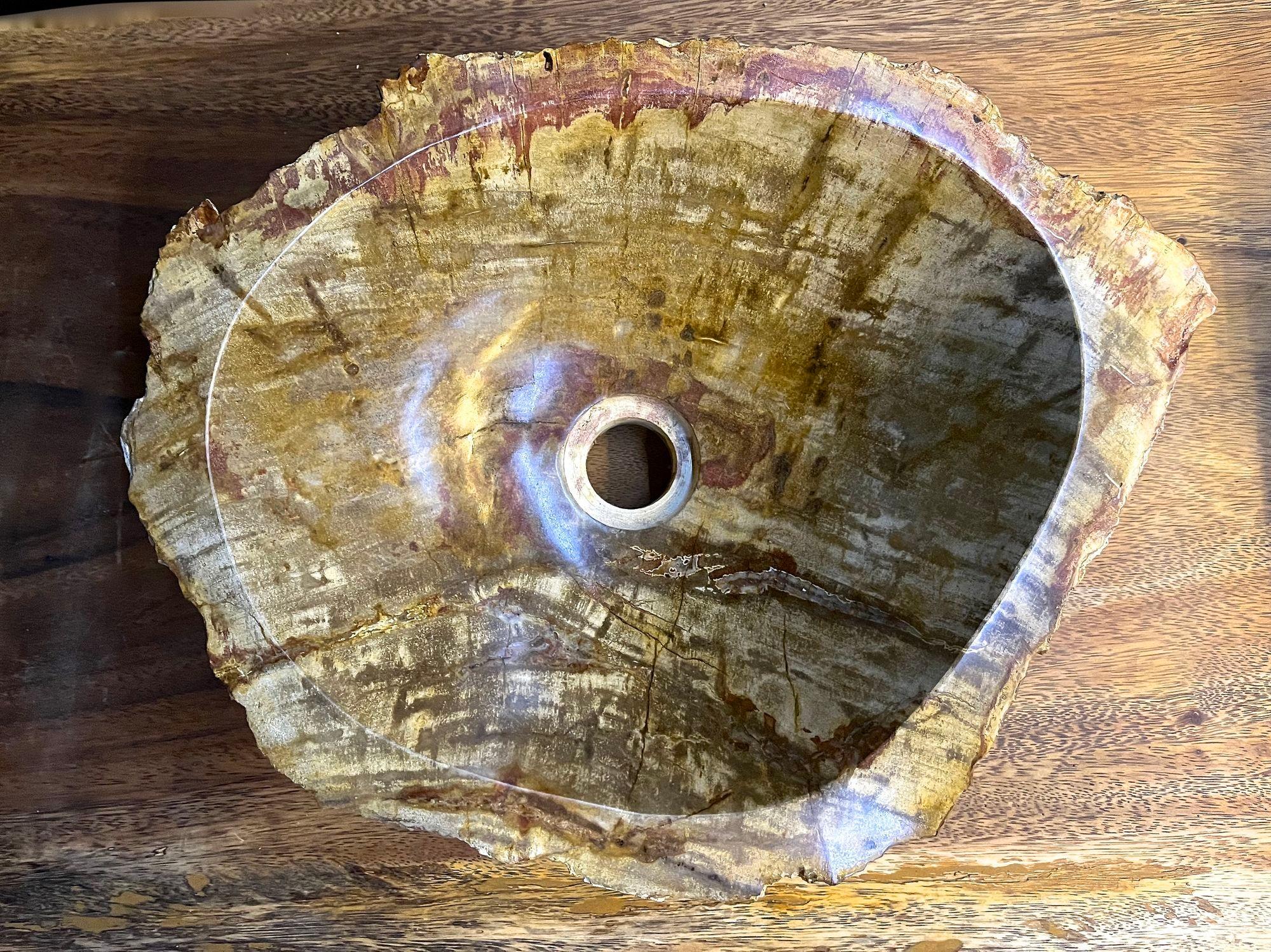 Petrified Wood Sink In Beige/ Brown/ Yellow Tones - Polished, Top Quality, IDN In New Condition For Sale In Lichtenberg, AT