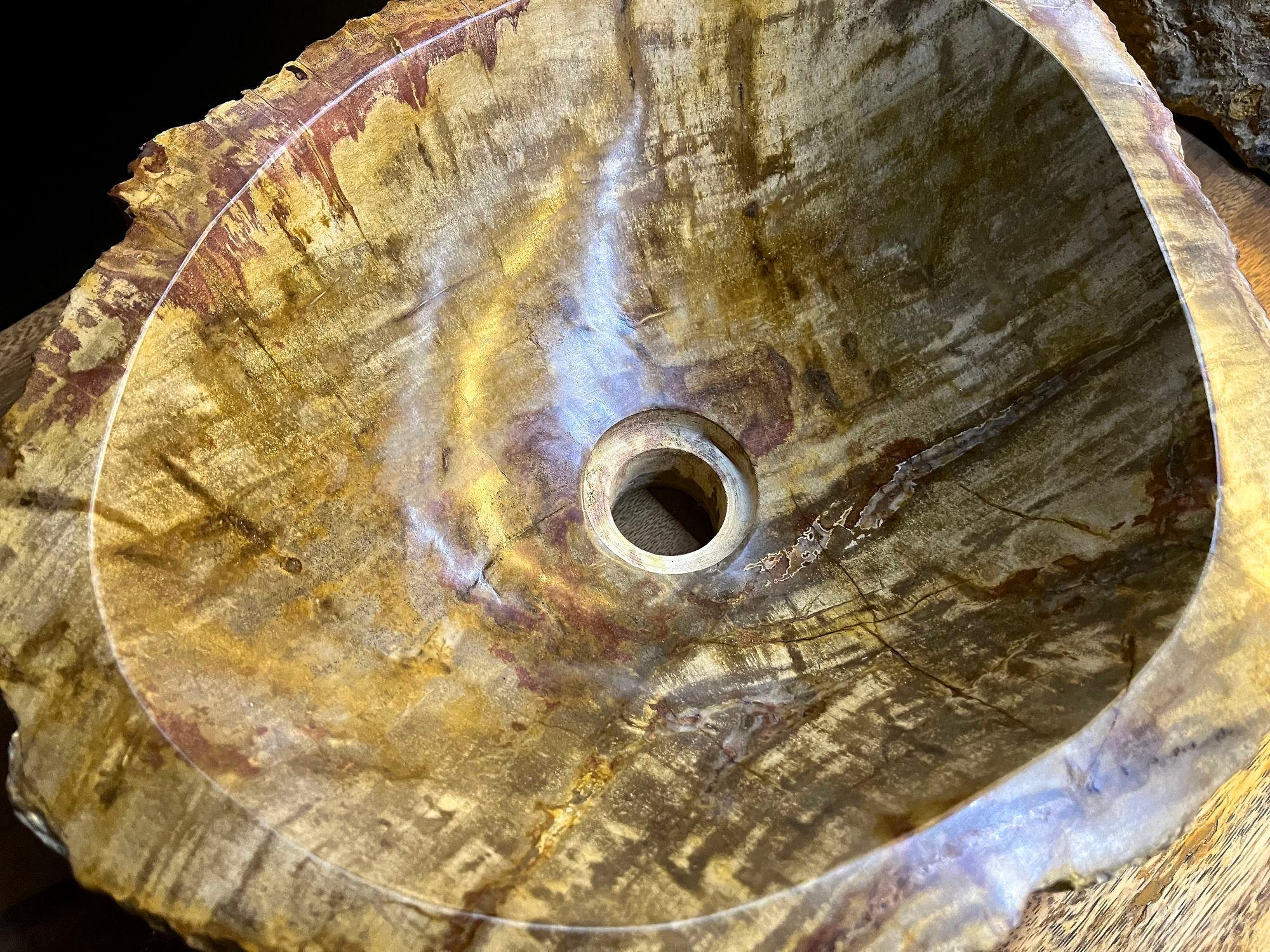 Contemporary Petrified Wood Sink In Beige/ Brown/ Yellow Tones - Polished, Top Quality, IDN For Sale