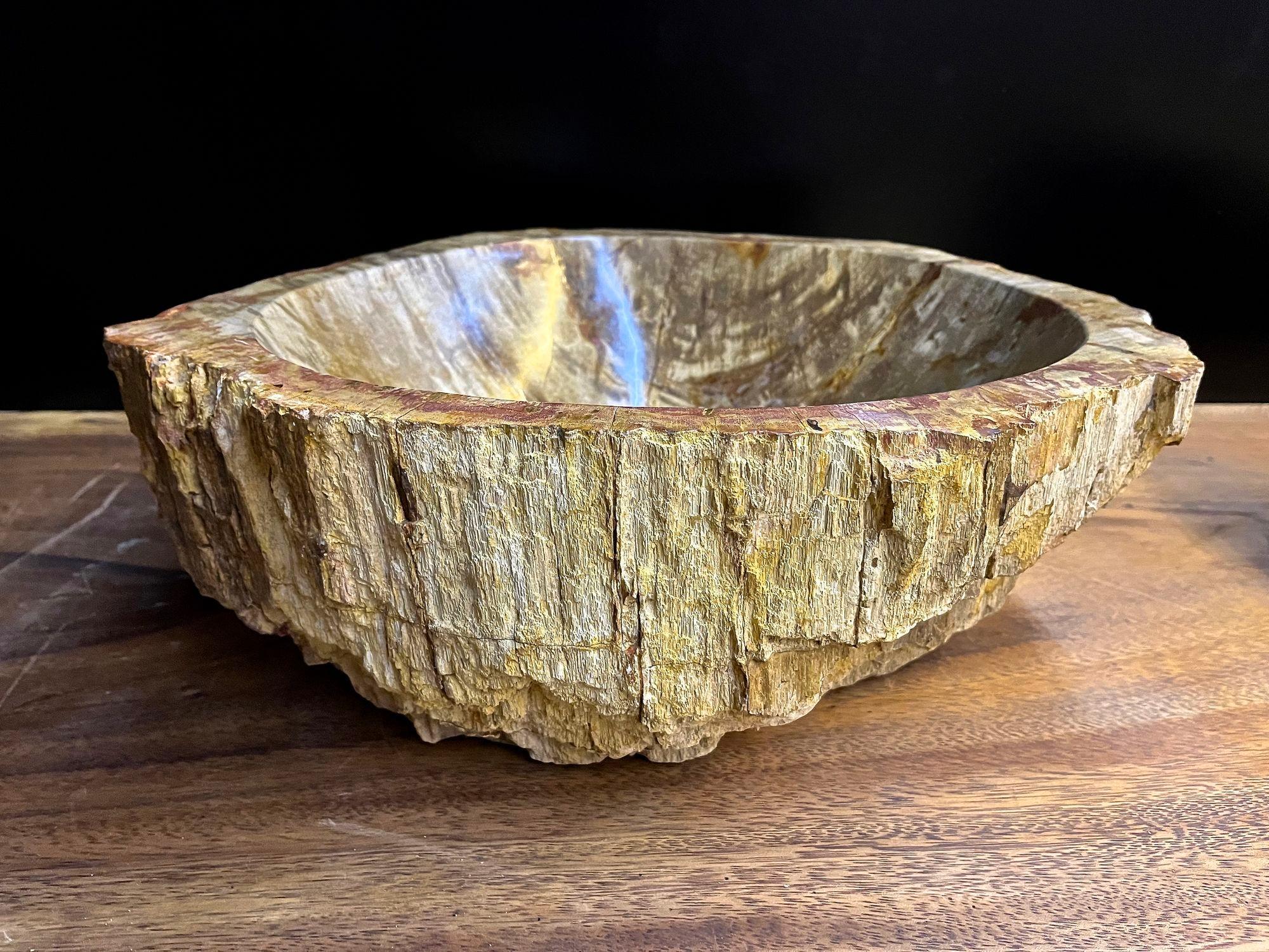 Petrified Wood Sink In Beige/ Brown/ Yellow Tones - Polished, Top Quality, IDN For Sale 1